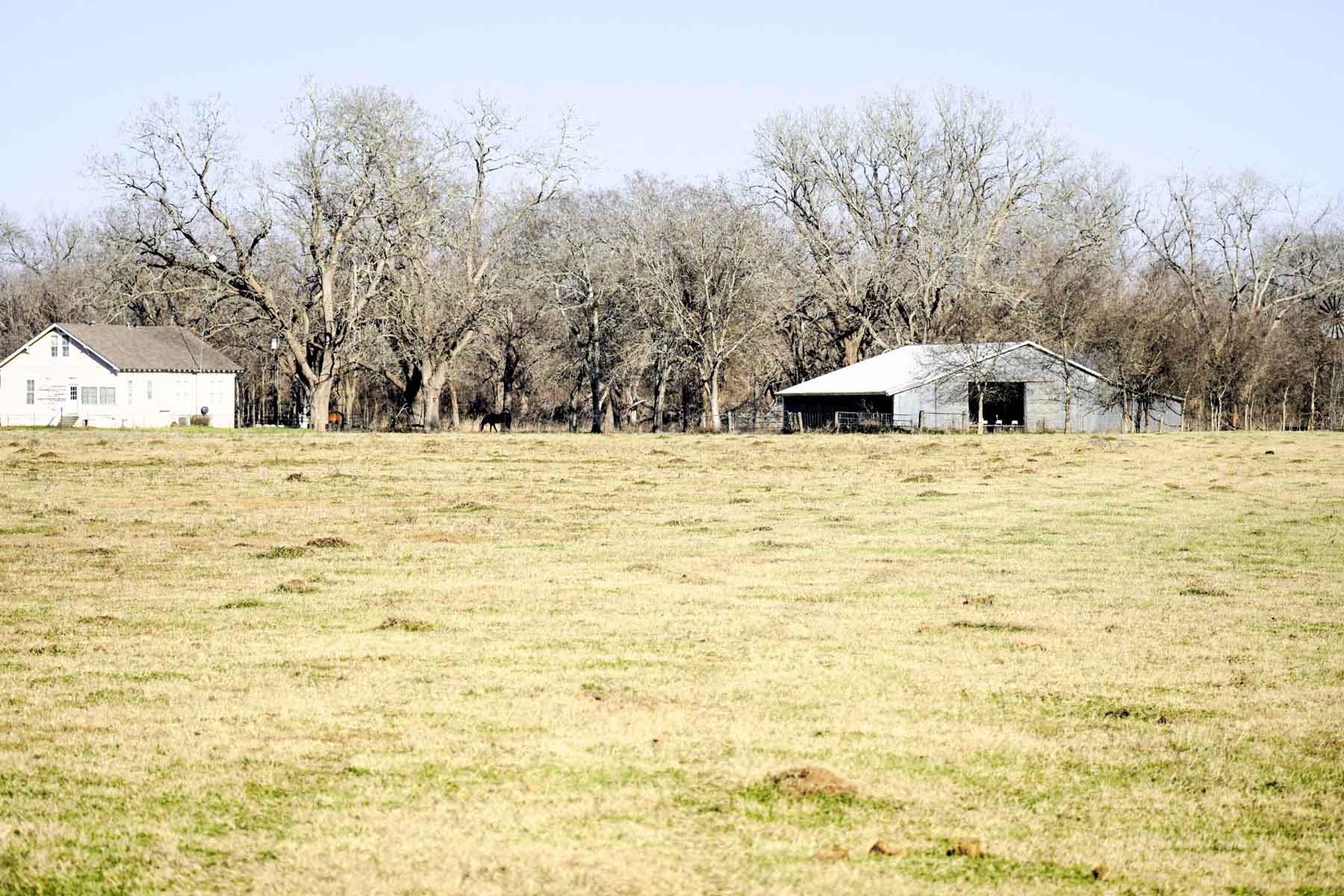Ranch on Irons Creek property picture 11 of 42