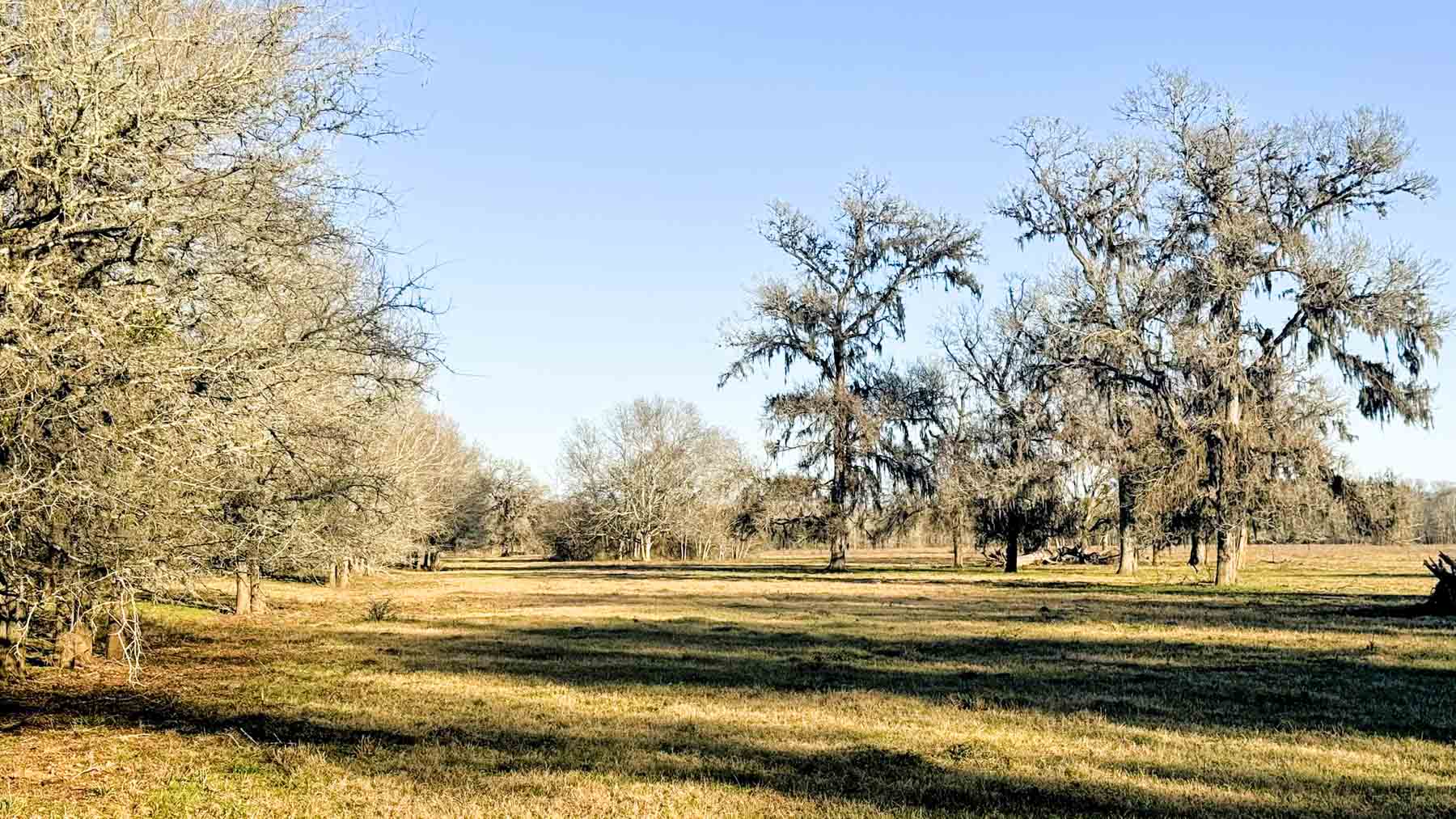 Ranch on Irons Creek property picture 28 of 42