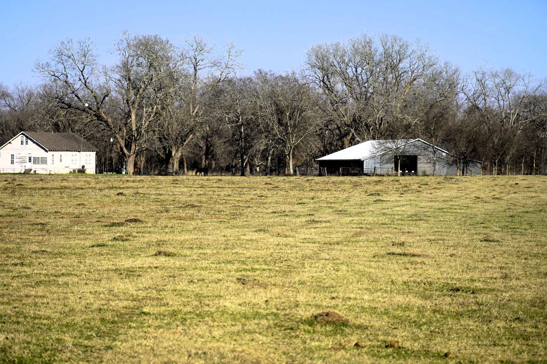 Ranch on Irons Creek property picture 7 of 28