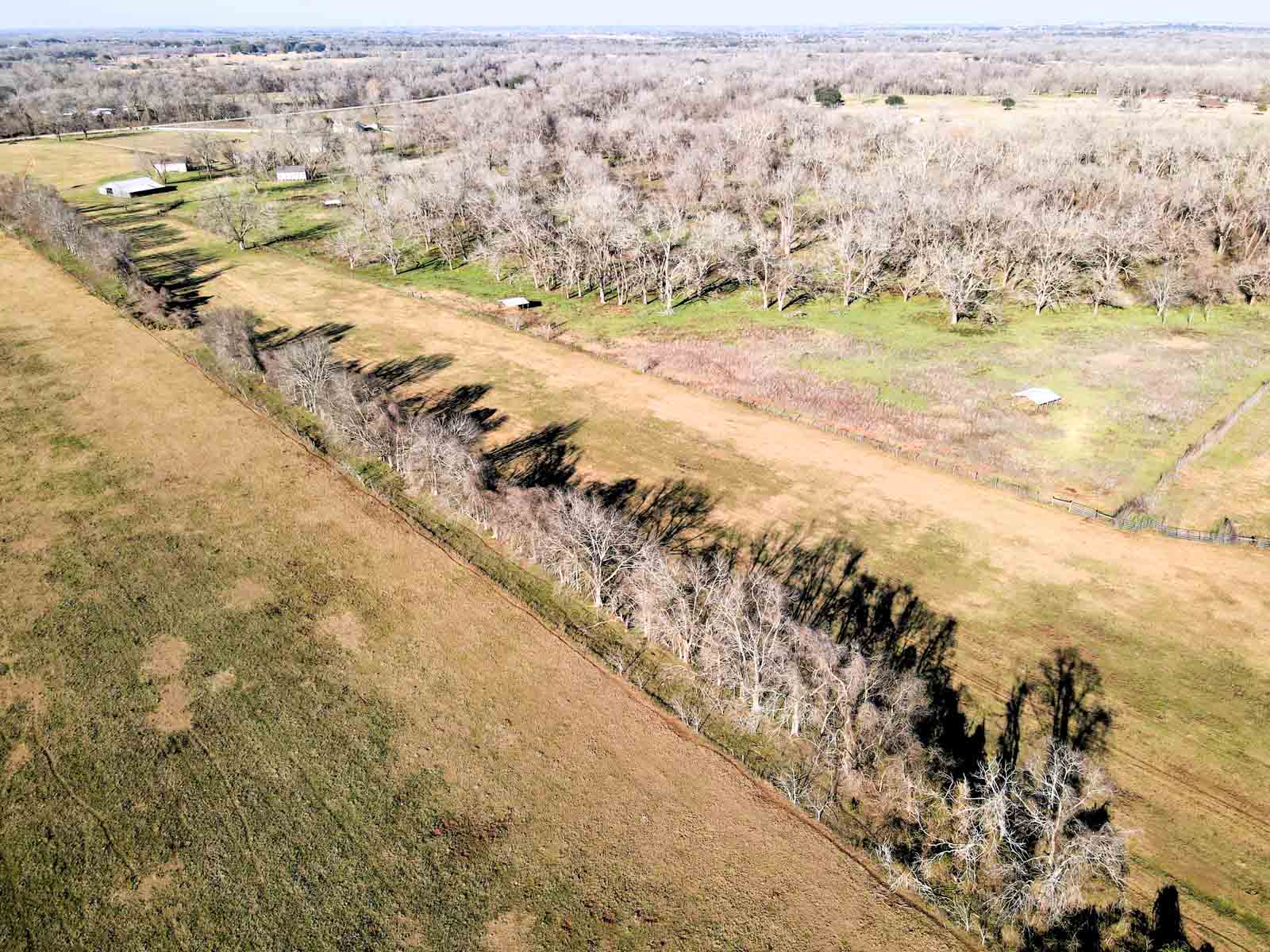 Ranch on Irons Creek property picture 21 of 42