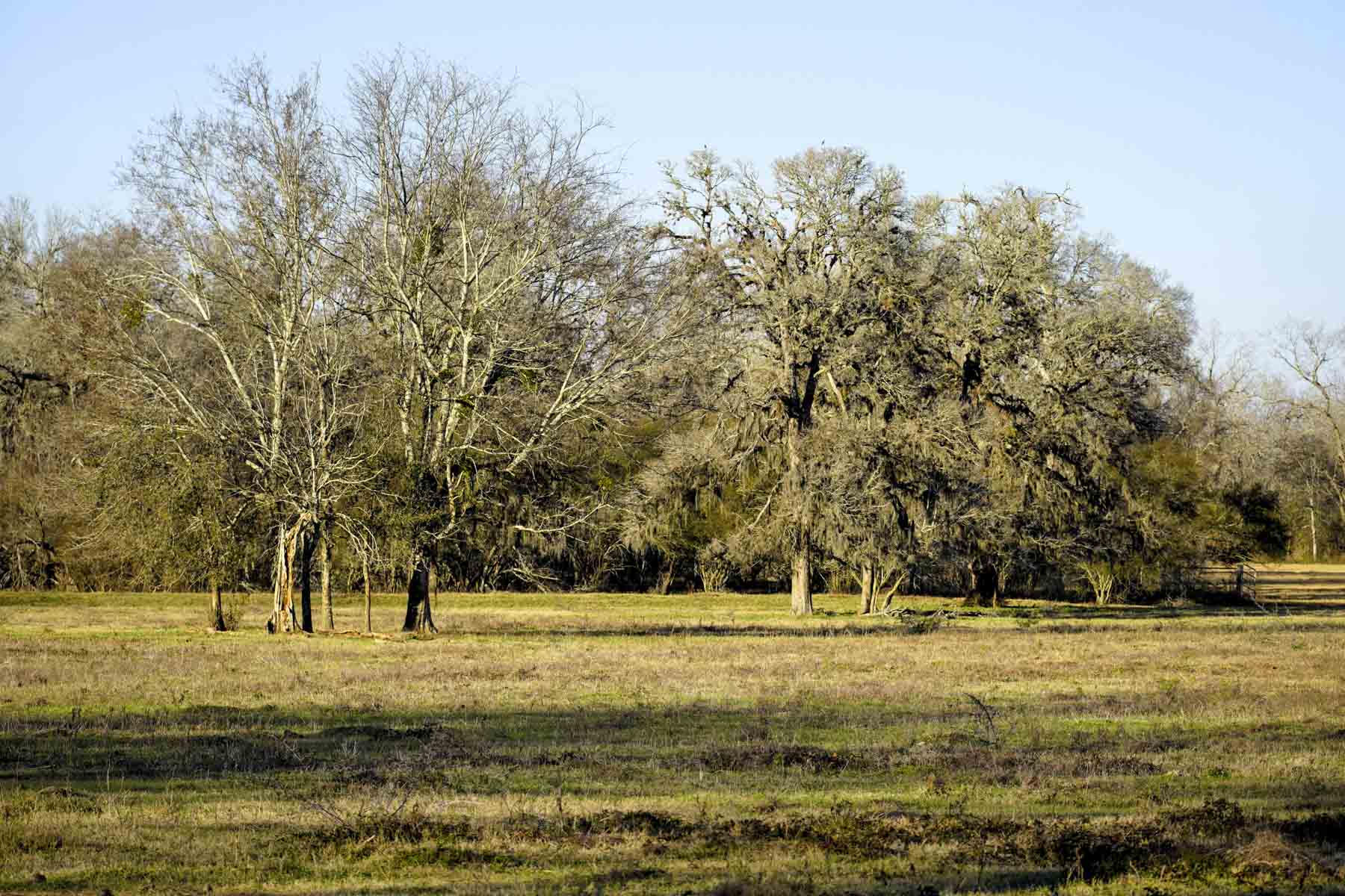 Ranch on Irons Creek property picture 24 of 28