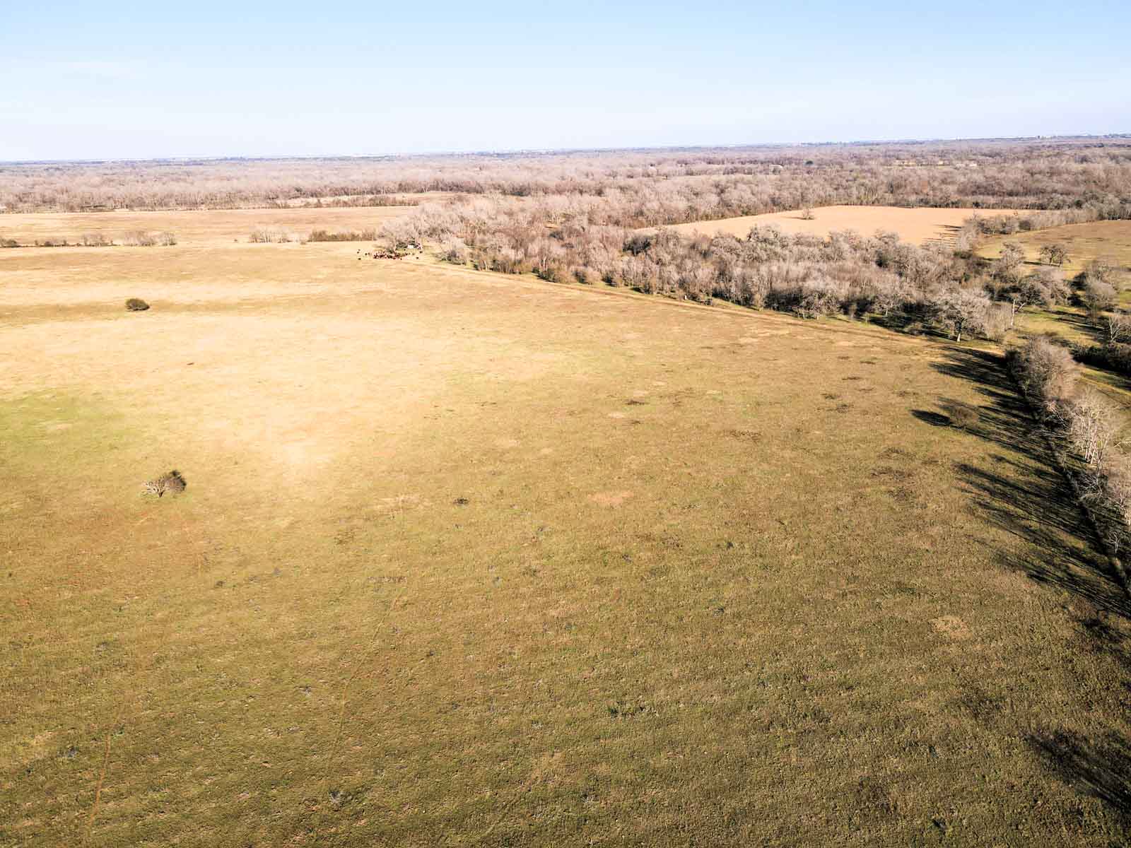Ranch on Irons Creek property picture 23 of 42