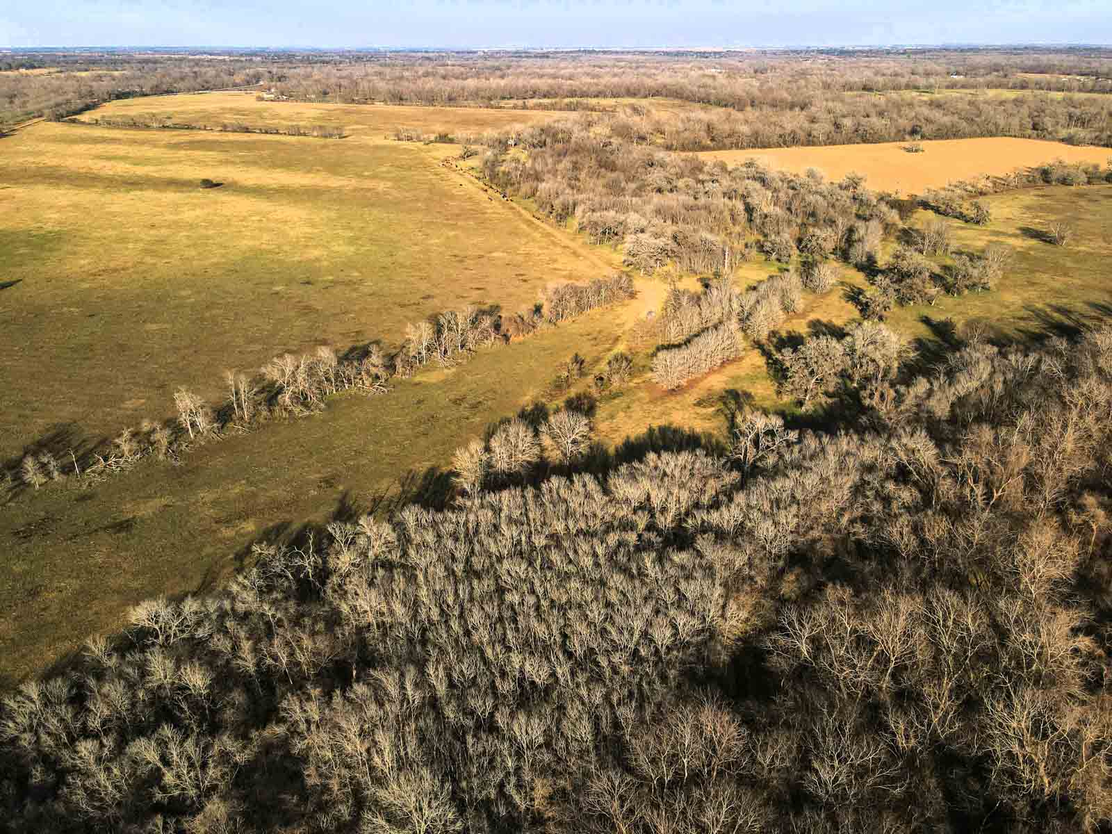 Ranch on Irons Creek property picture 19 of 28