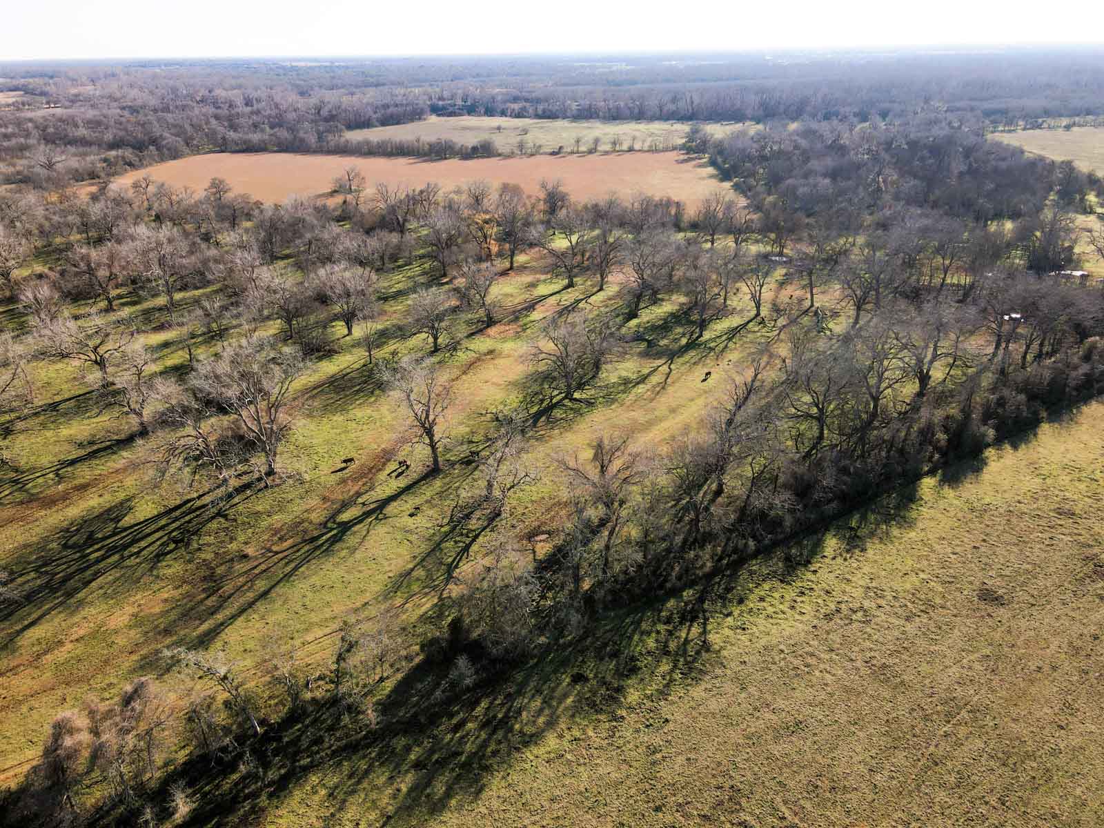 Ranch on Irons Creek property picture 22 of 42