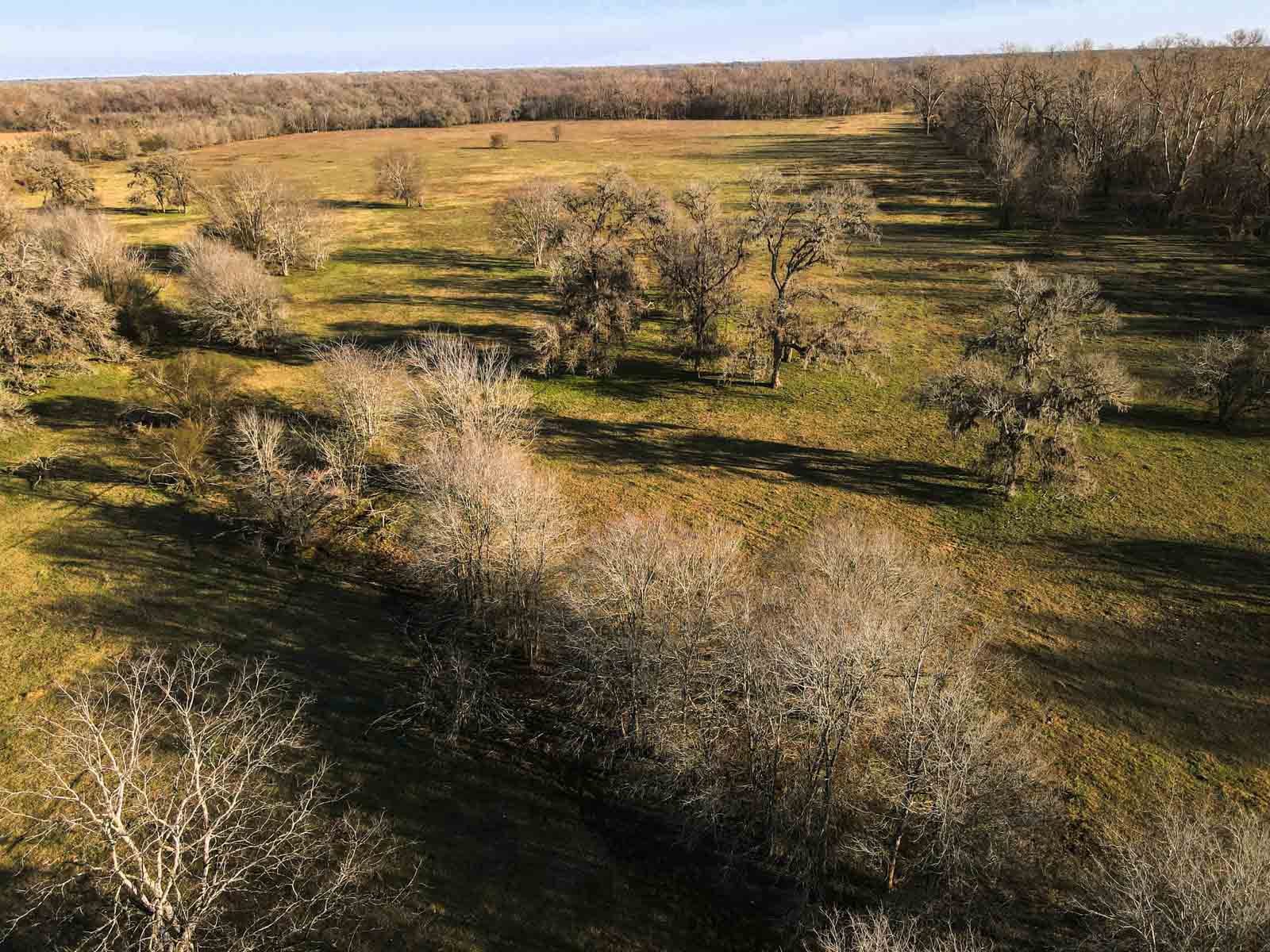 Ranch on Irons Creek property picture 27 of 28