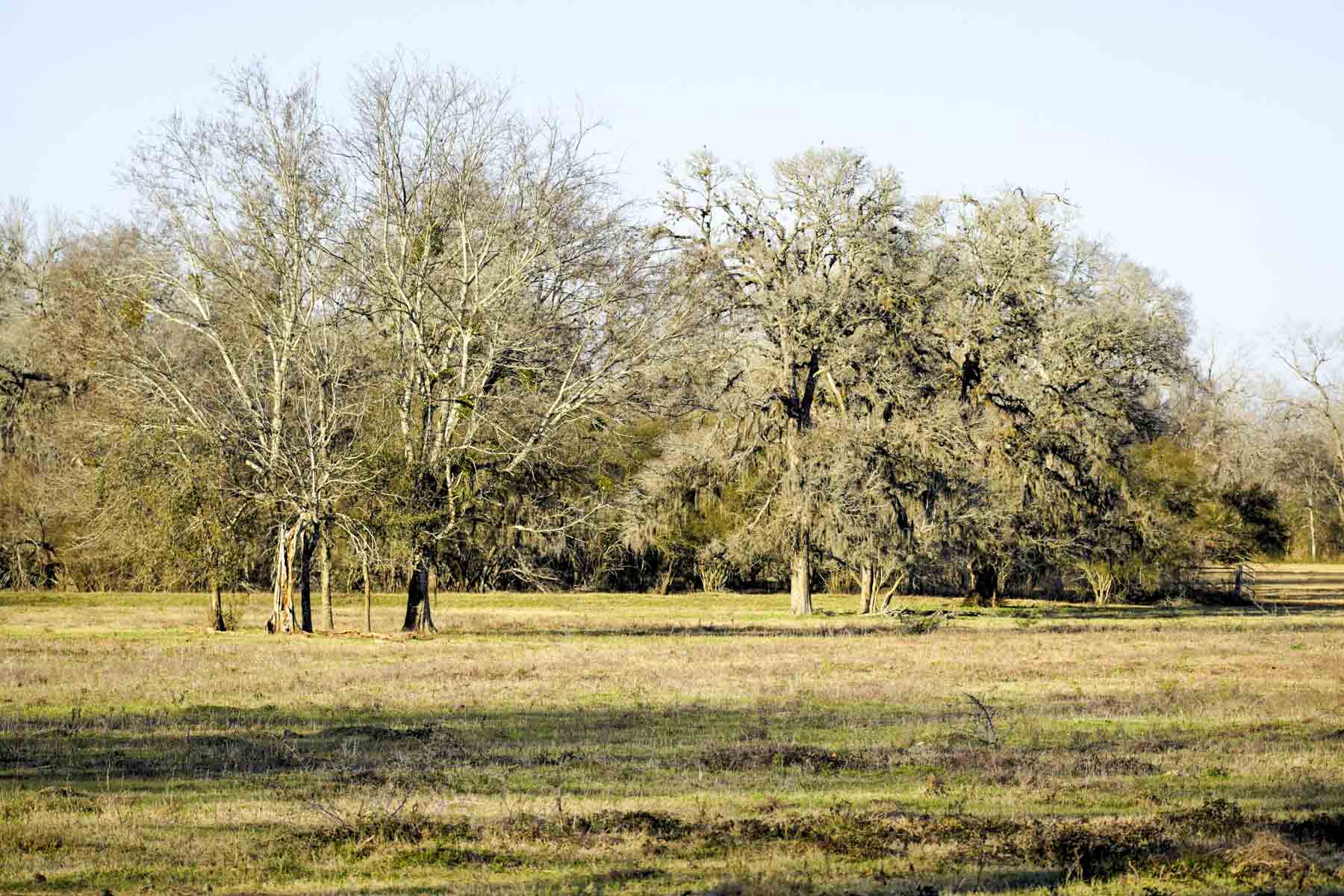 Ranch on Irons Creek property picture 38 of 42