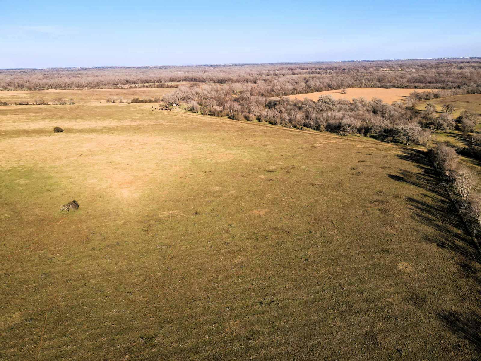 Ranch on Irons Creek property picture 16 of 28