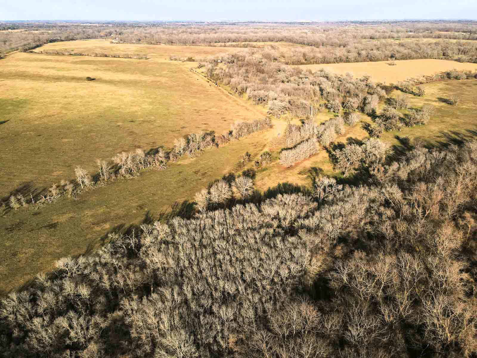 Ranch on Irons Creek property picture 26 of 42