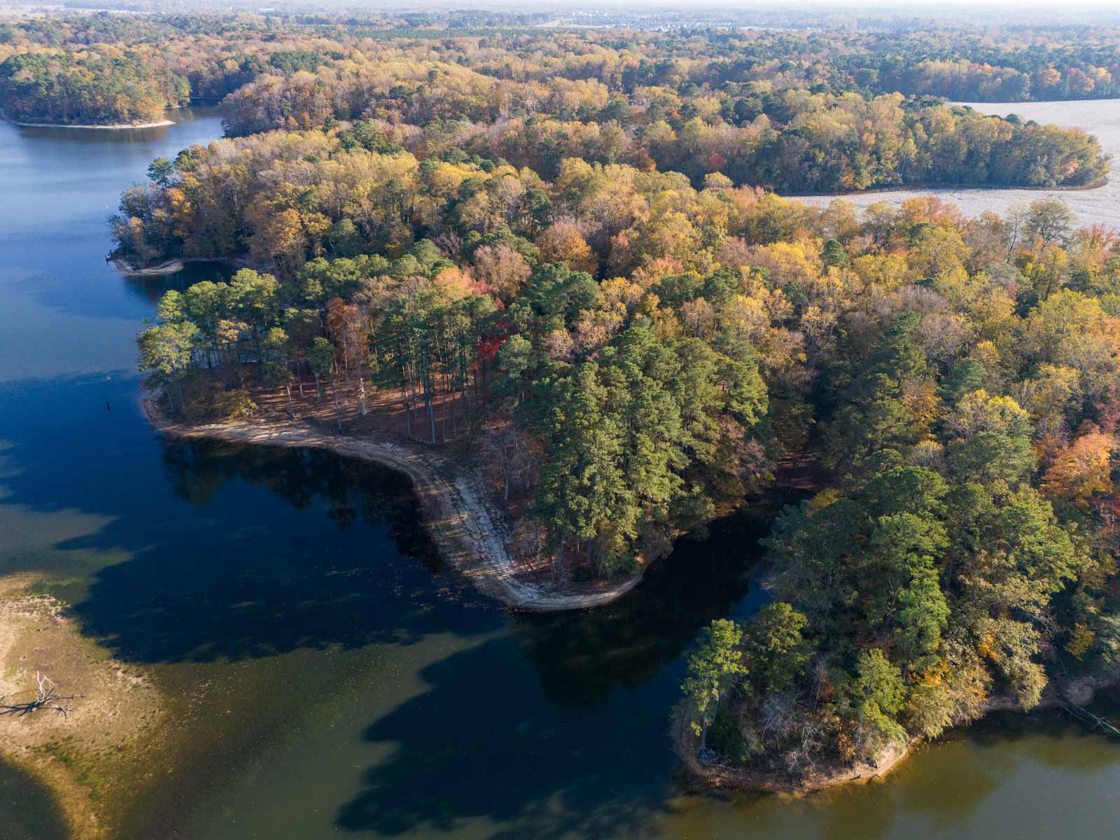 Cotton Rose Farm property picture 18 of 24