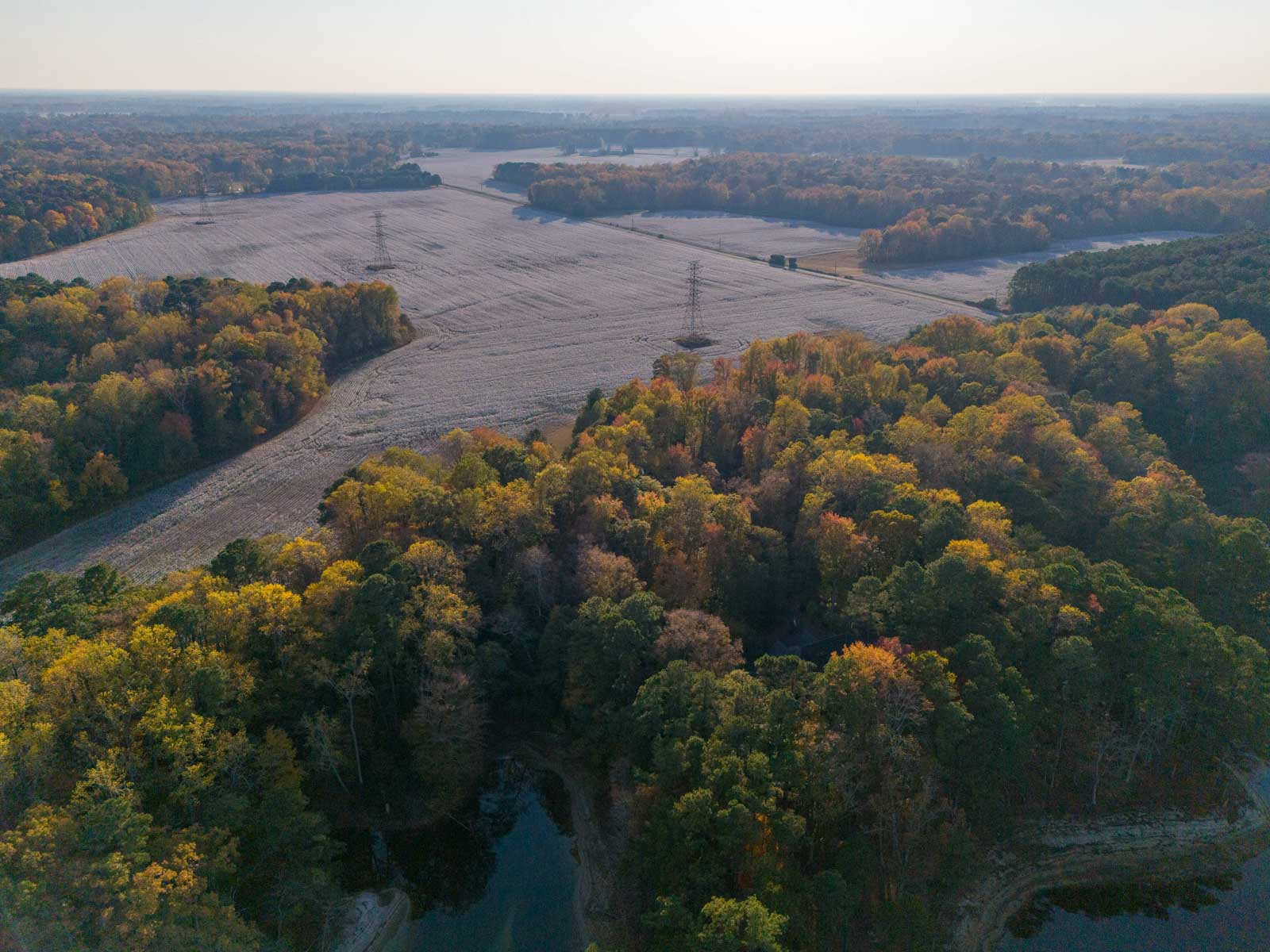 Cotton Rose Farm property picture 5 of 24