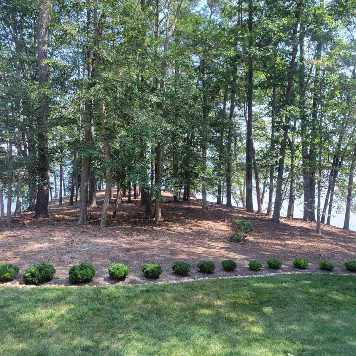 Cotton Rose Farm property picture 9 of 24