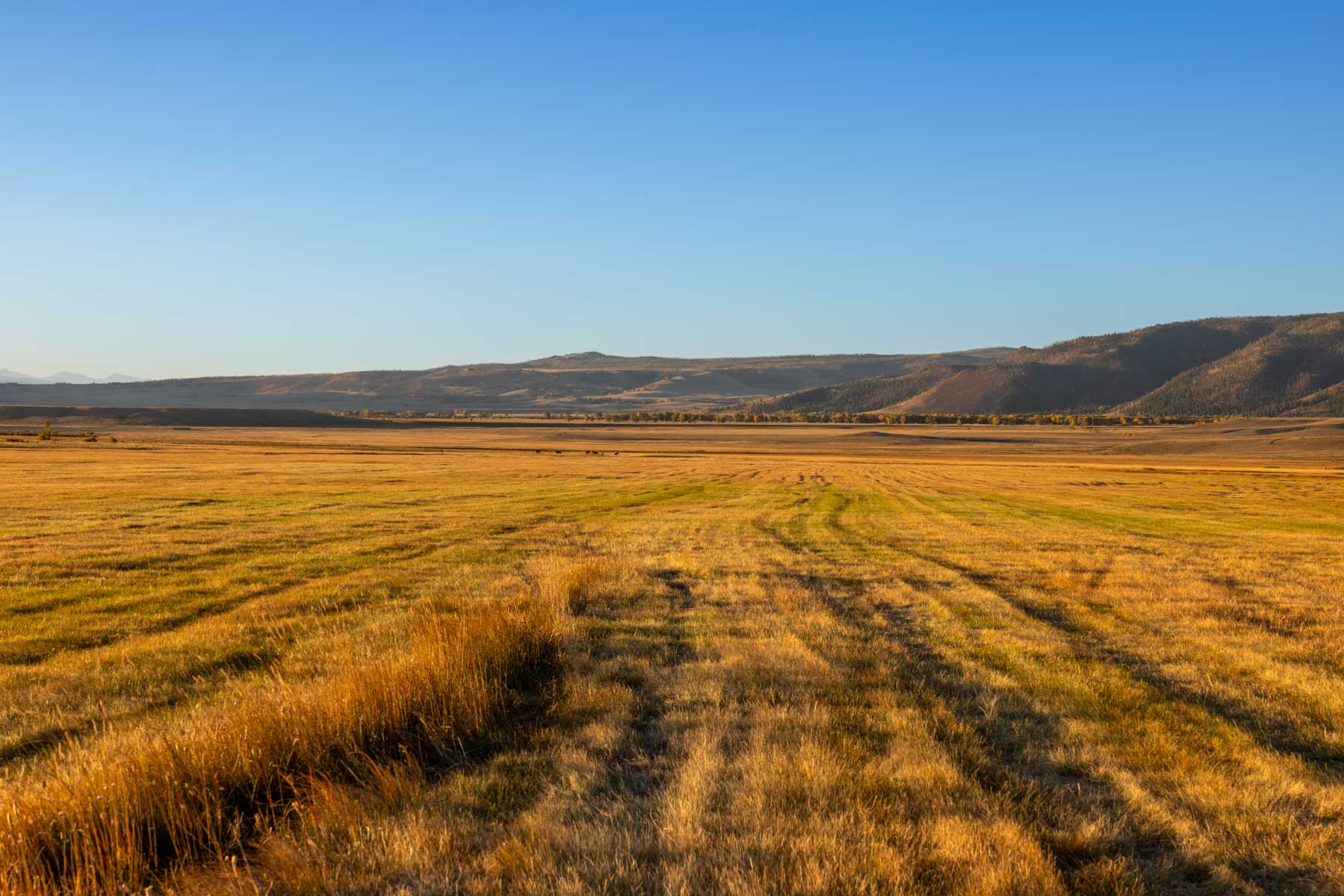 Cross Creek Ranch property picture 7 of 47