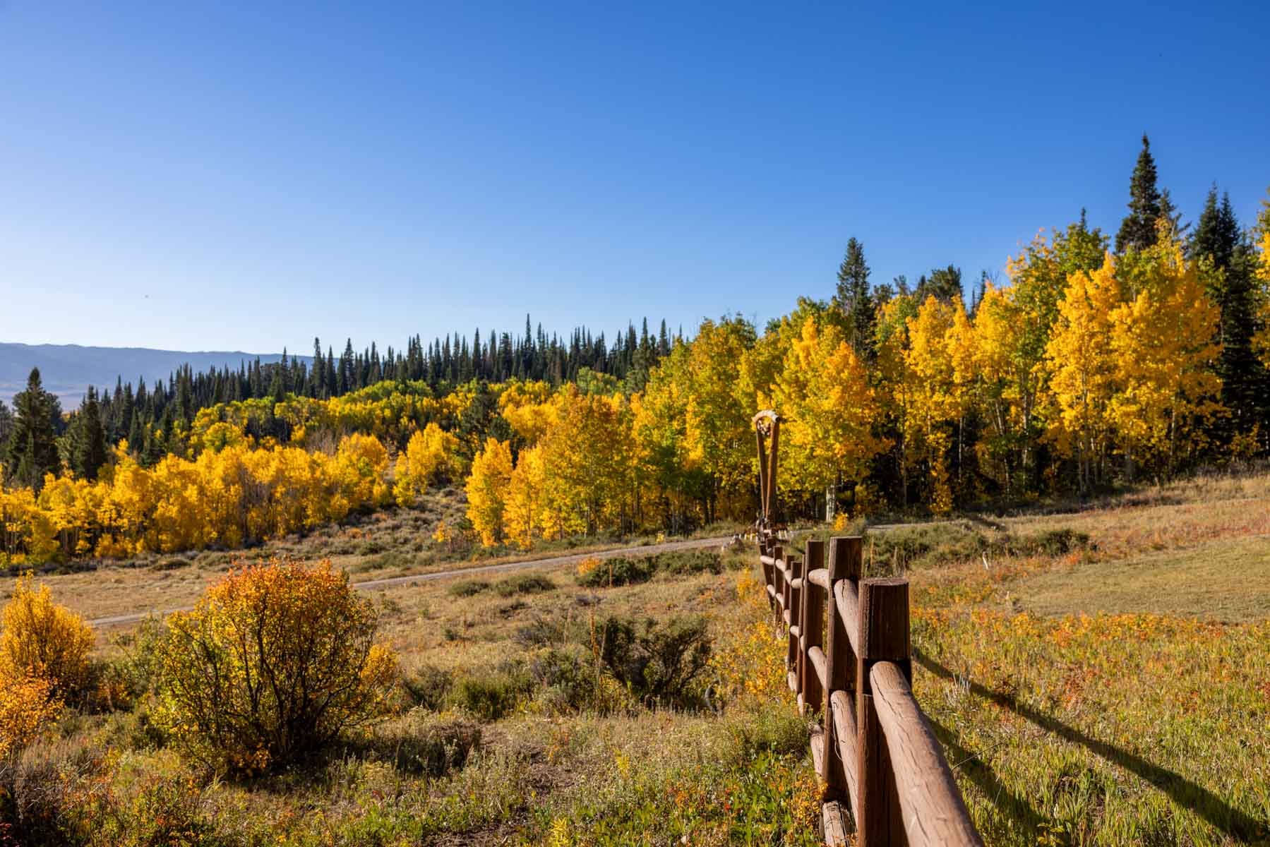 Cross Creek Ranch property picture 17 of 47