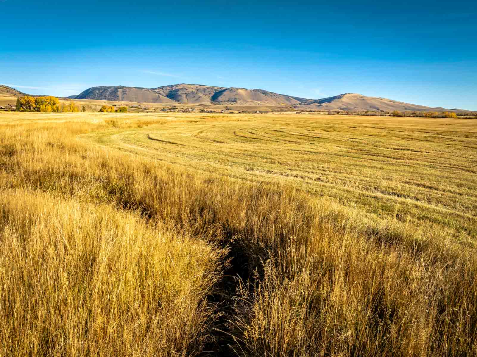 Cross Creek Ranch property picture 44 of 47