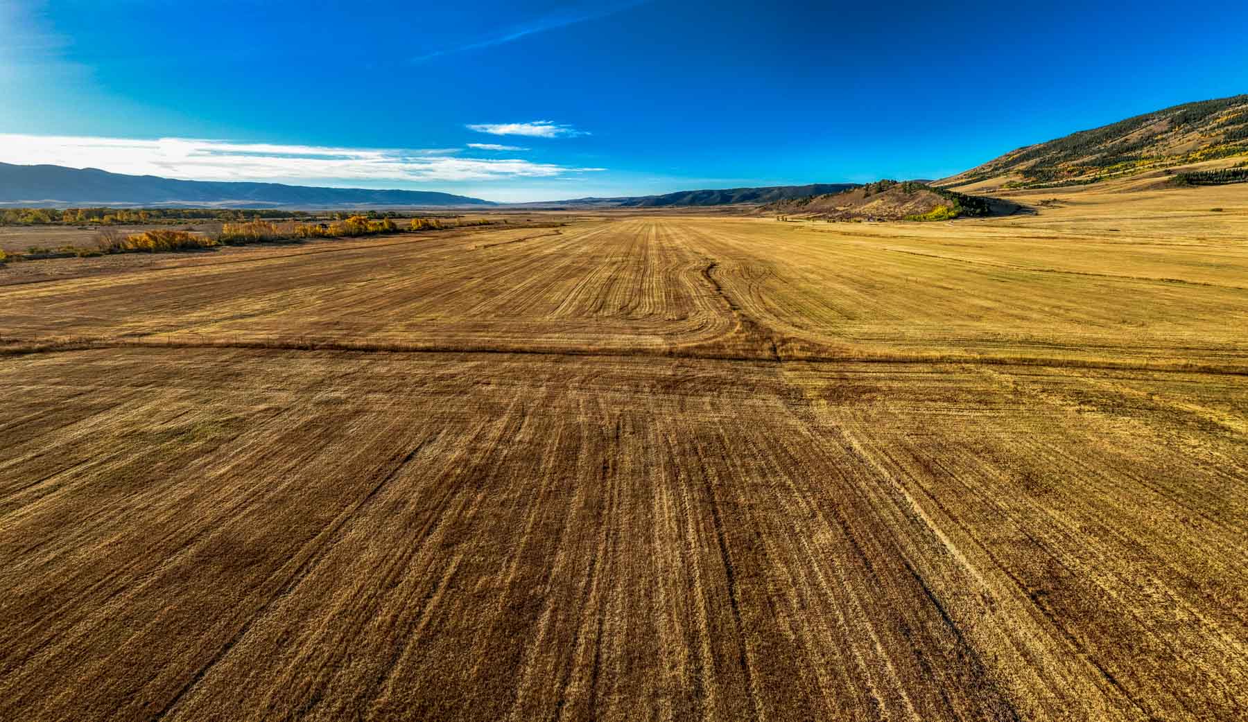 Cross Creek Ranch property picture 42 of 47