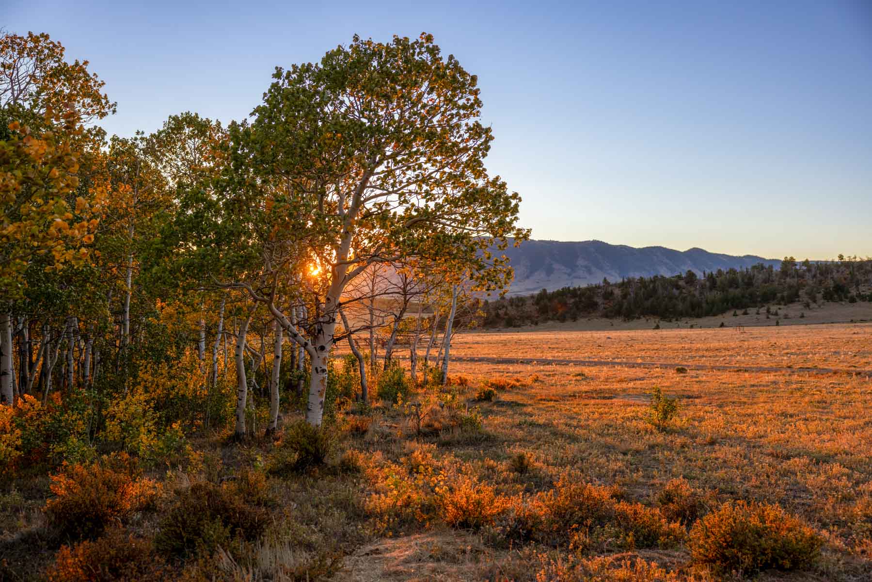 Cross Creek Ranch property picture 25 of 47
