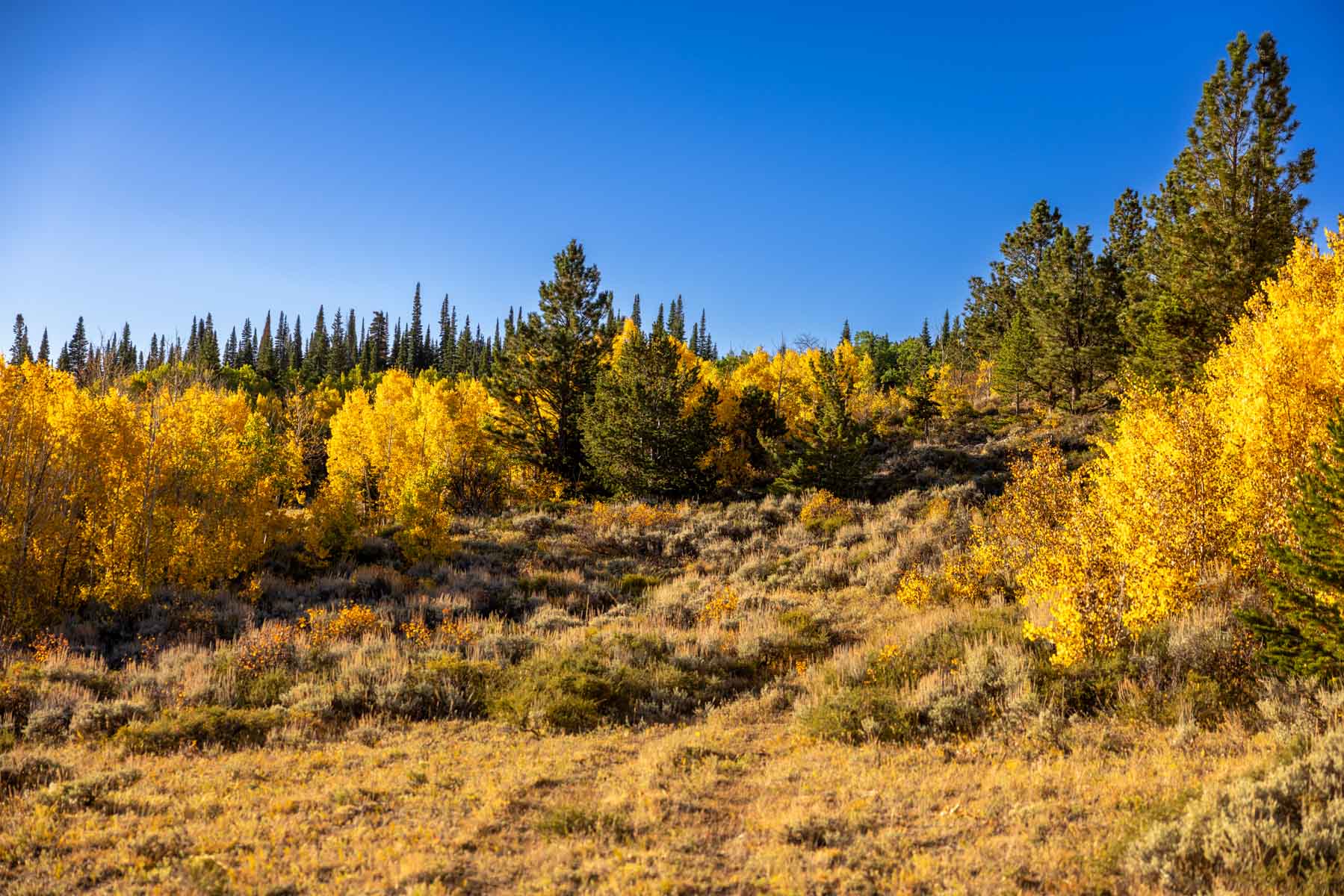 Cross Creek Ranch property picture 27 of 47