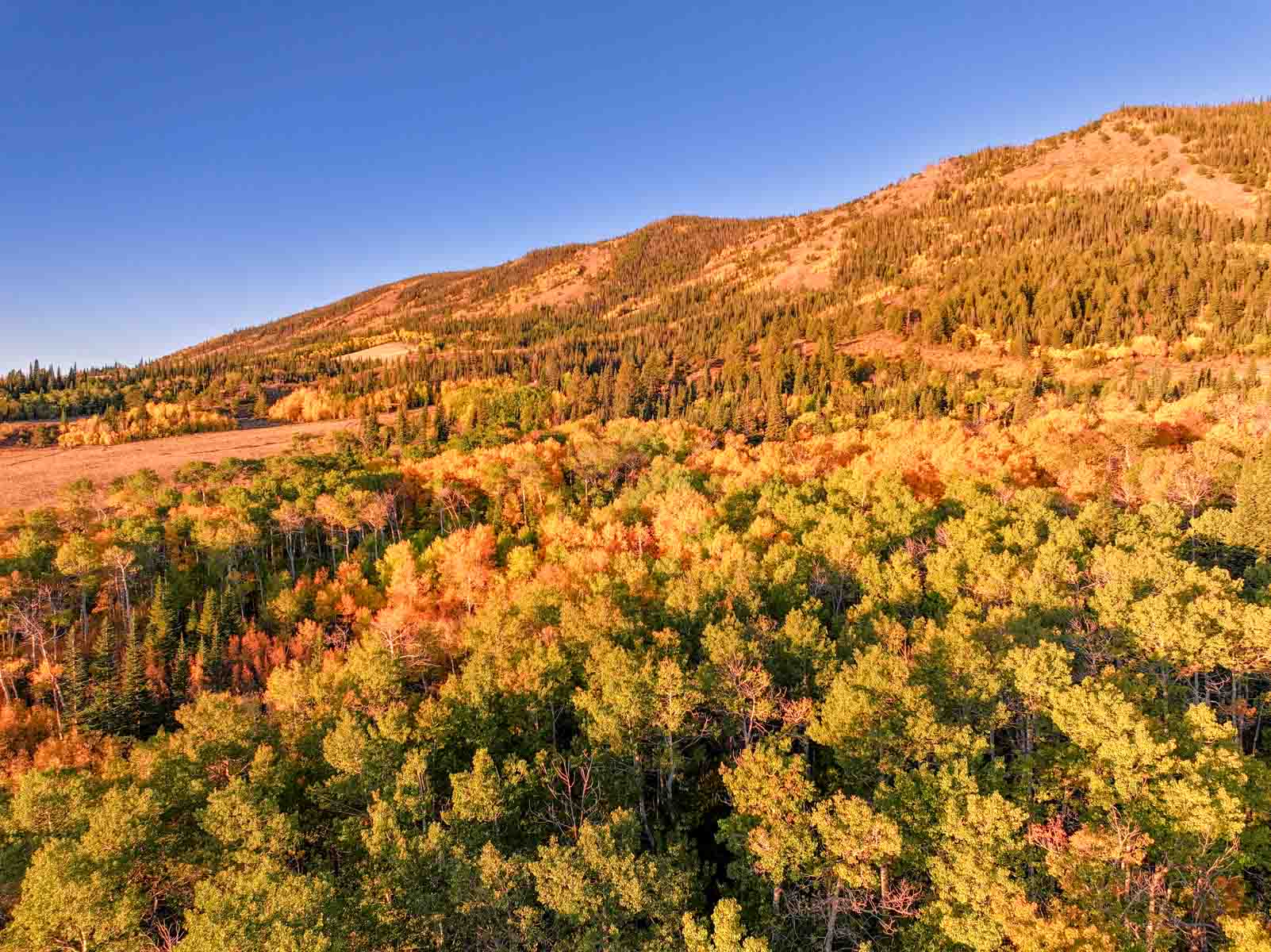 Cross Creek Ranch property picture 31 of 47