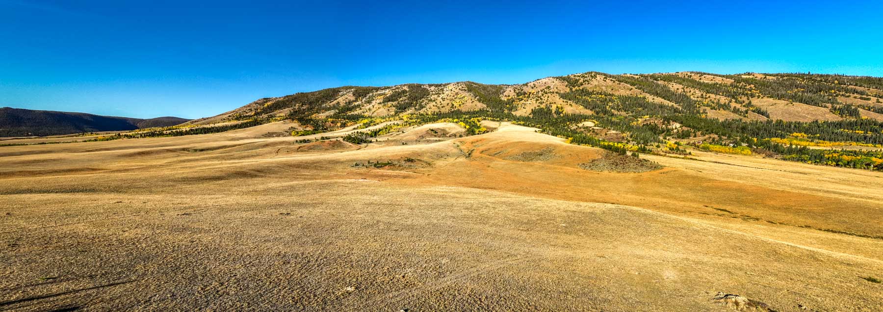 Cross Creek Ranch property picture 45 of 47