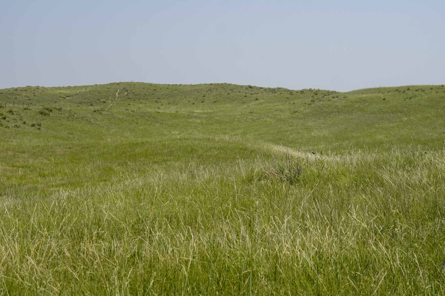 Otter Creek Ranch property picture 78 of 87