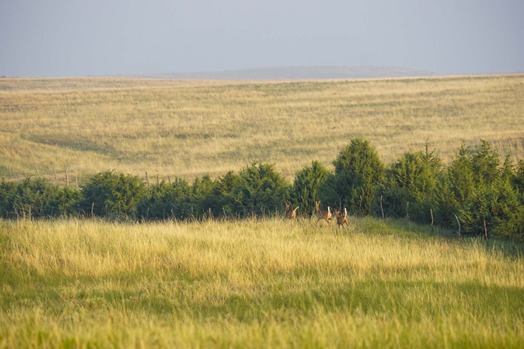 Otter Creek Ranch property picture 53 of 87