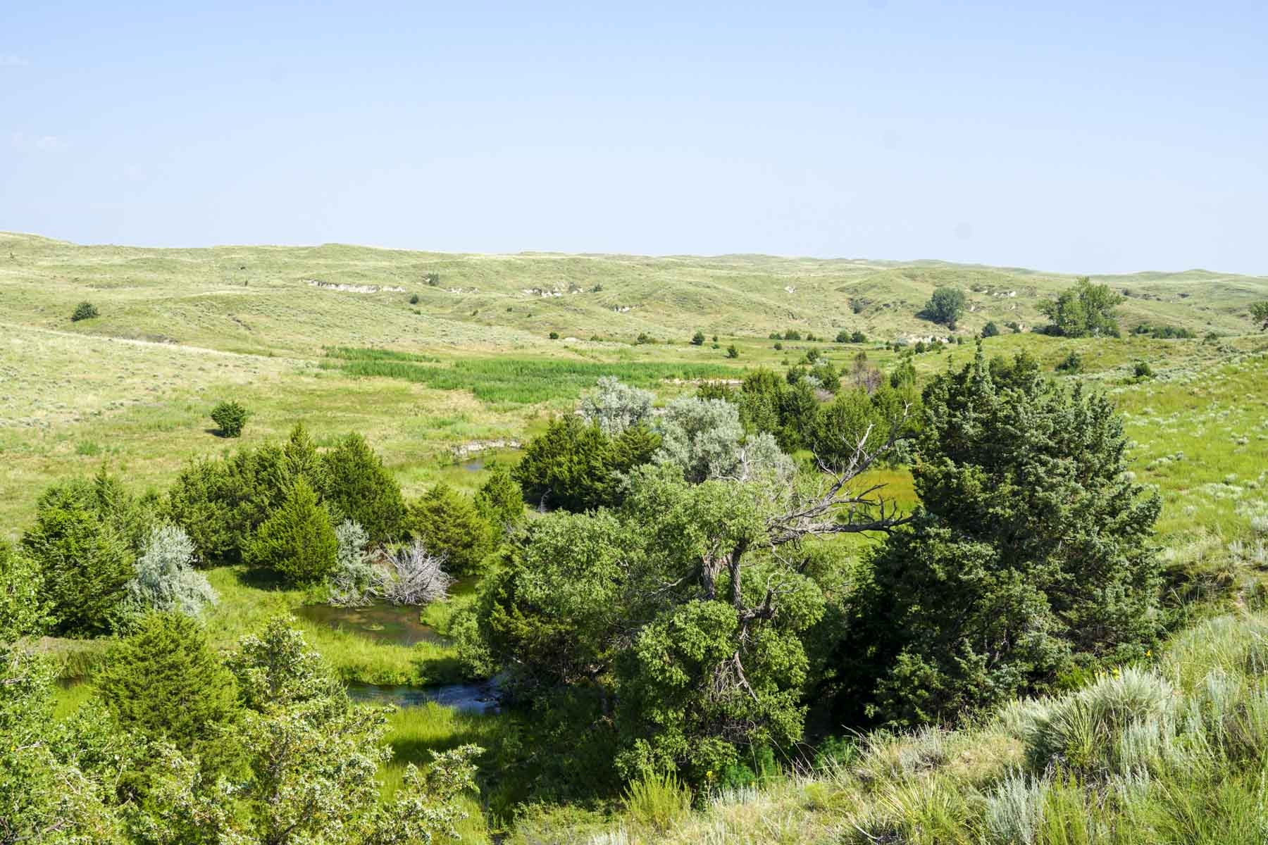 Otter Creek Ranch property picture 75 of 87