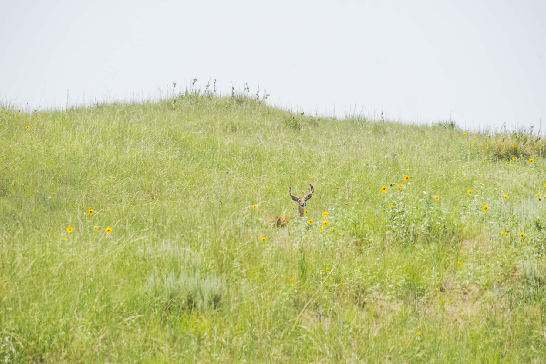 Otter Creek Ranch property picture 21 of 87