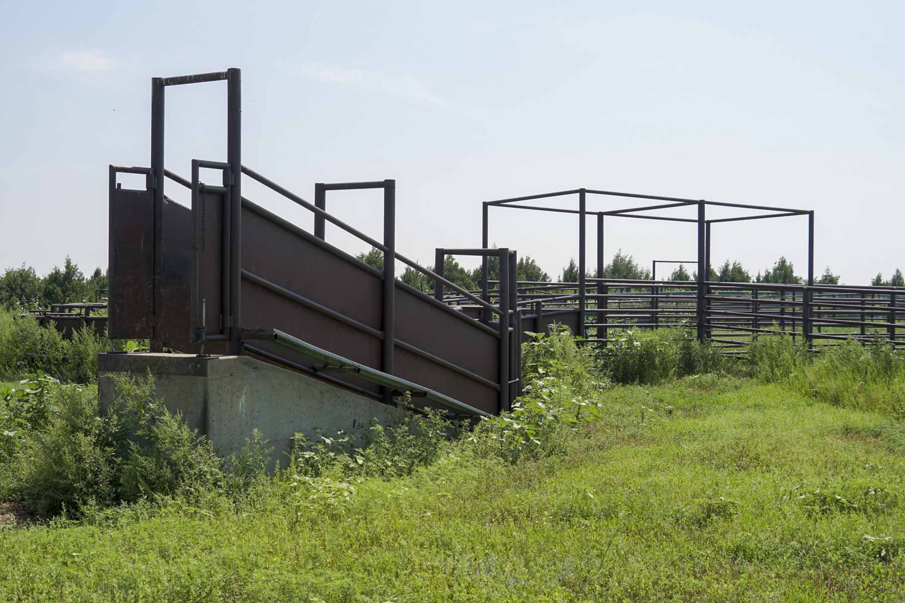 Otter Creek Ranch property picture 64 of 87