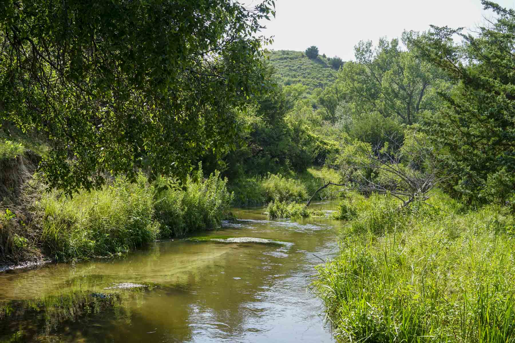 Otter Creek Ranch property picture 73 of 87