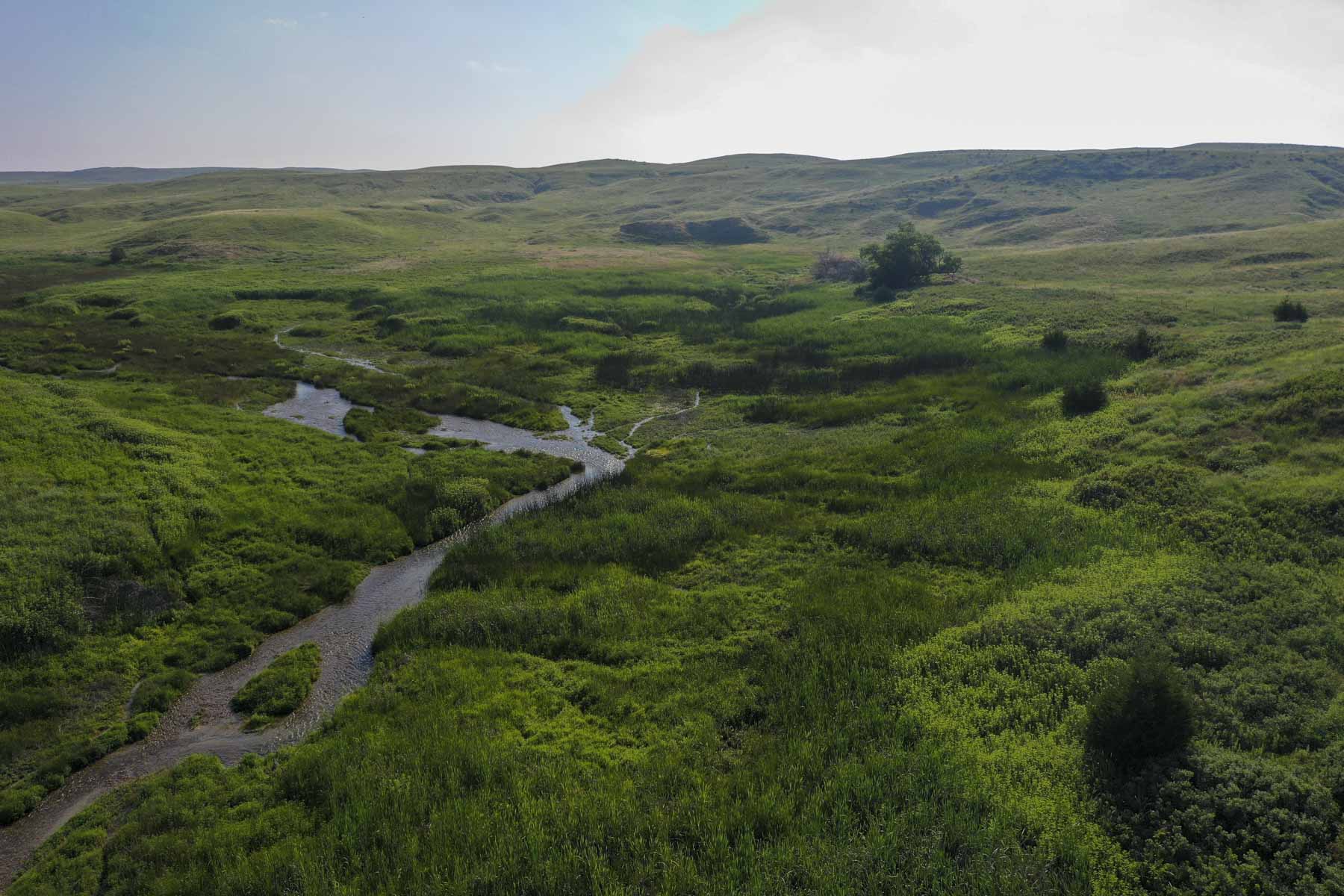 Otter Creek Ranch property picture 80 of 87