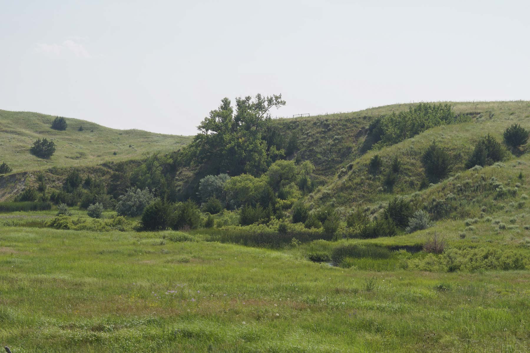 Otter Creek Ranch property picture 85 of 87