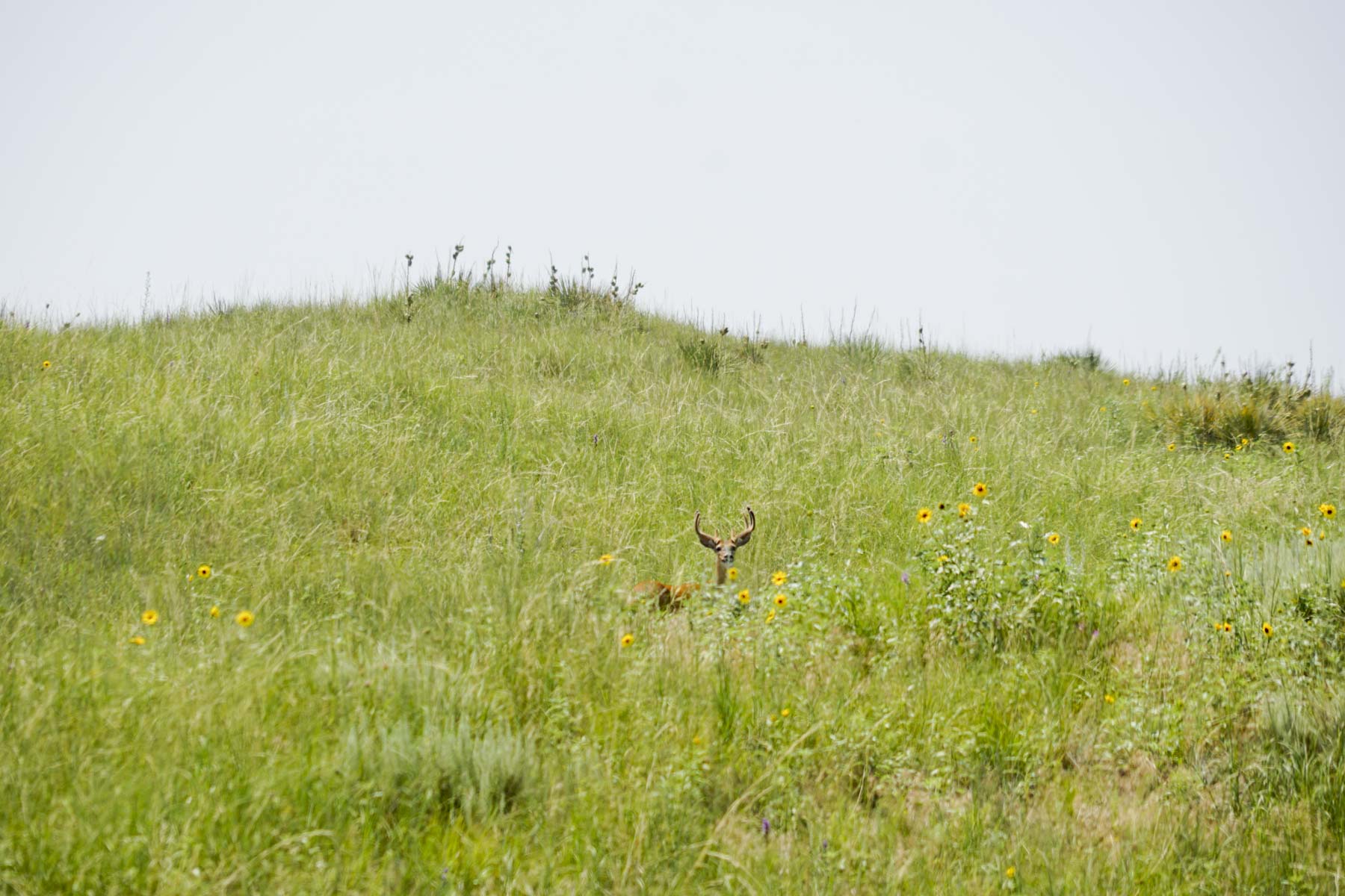 Otter Creek Ranch property picture 79 of 87