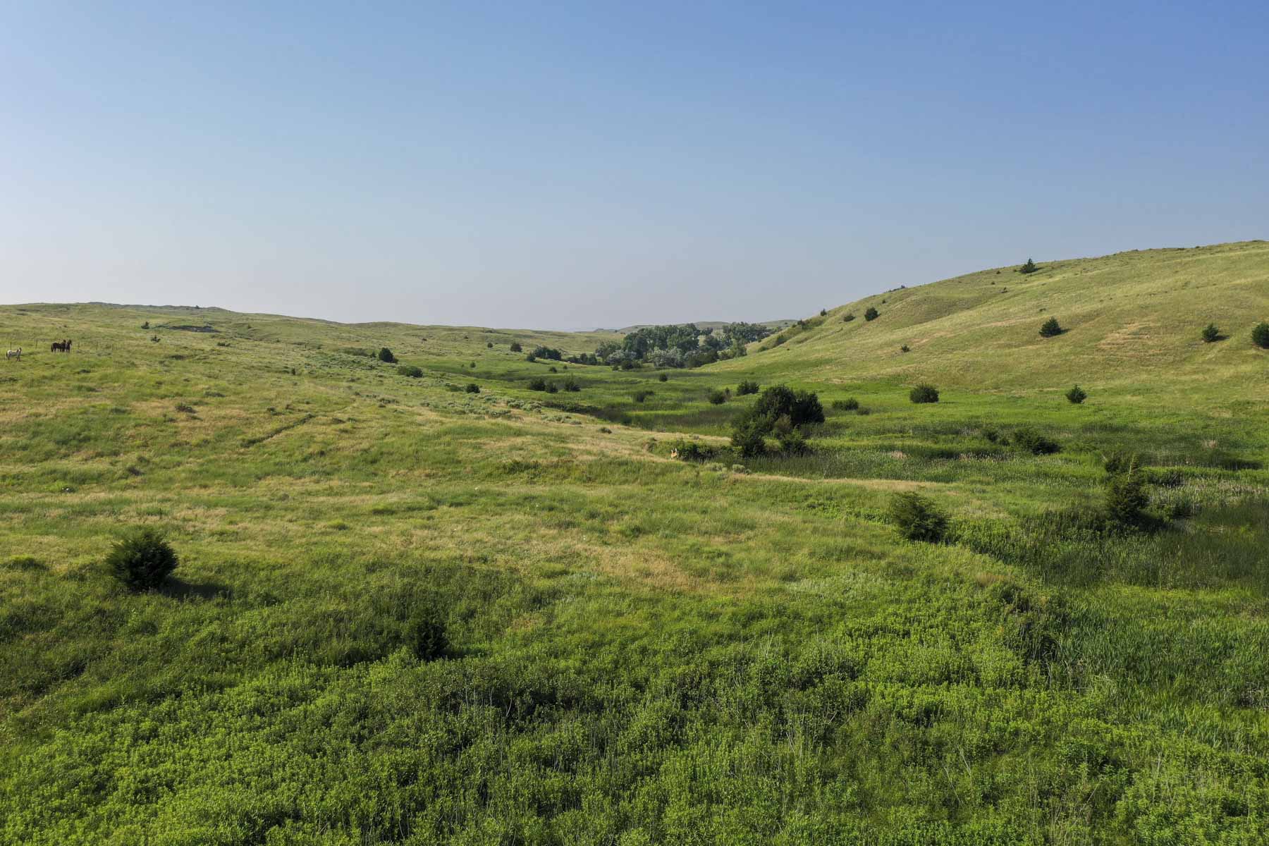 Otter Creek Ranch property picture 29 of 87