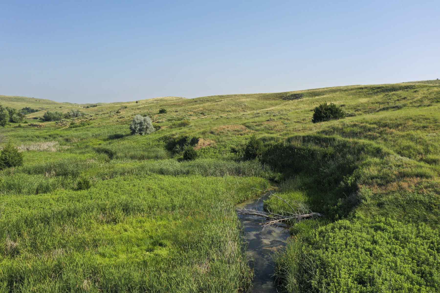 Otter Creek Ranch property picture 30 of 87