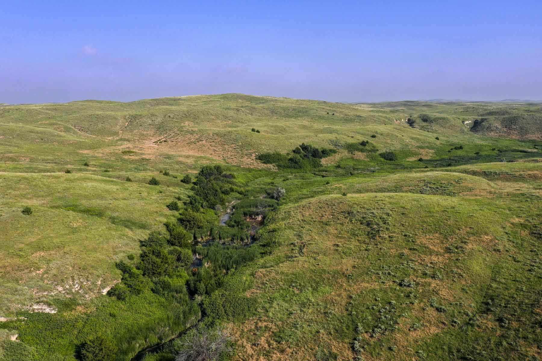 Otter Creek Ranch property picture 14 of 87