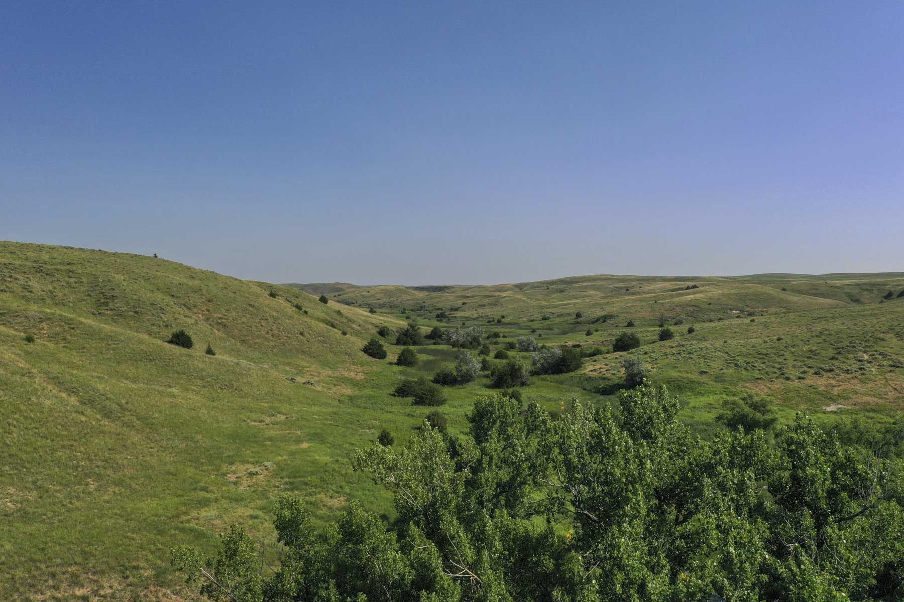 Otter Creek Ranch property picture 10 of 87