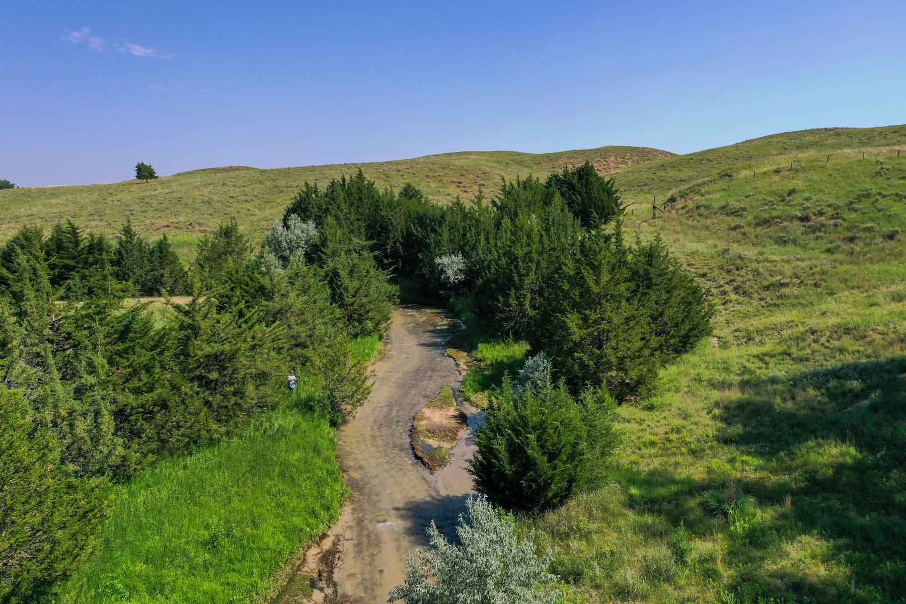 Otter Creek Ranch property picture 70 of 87