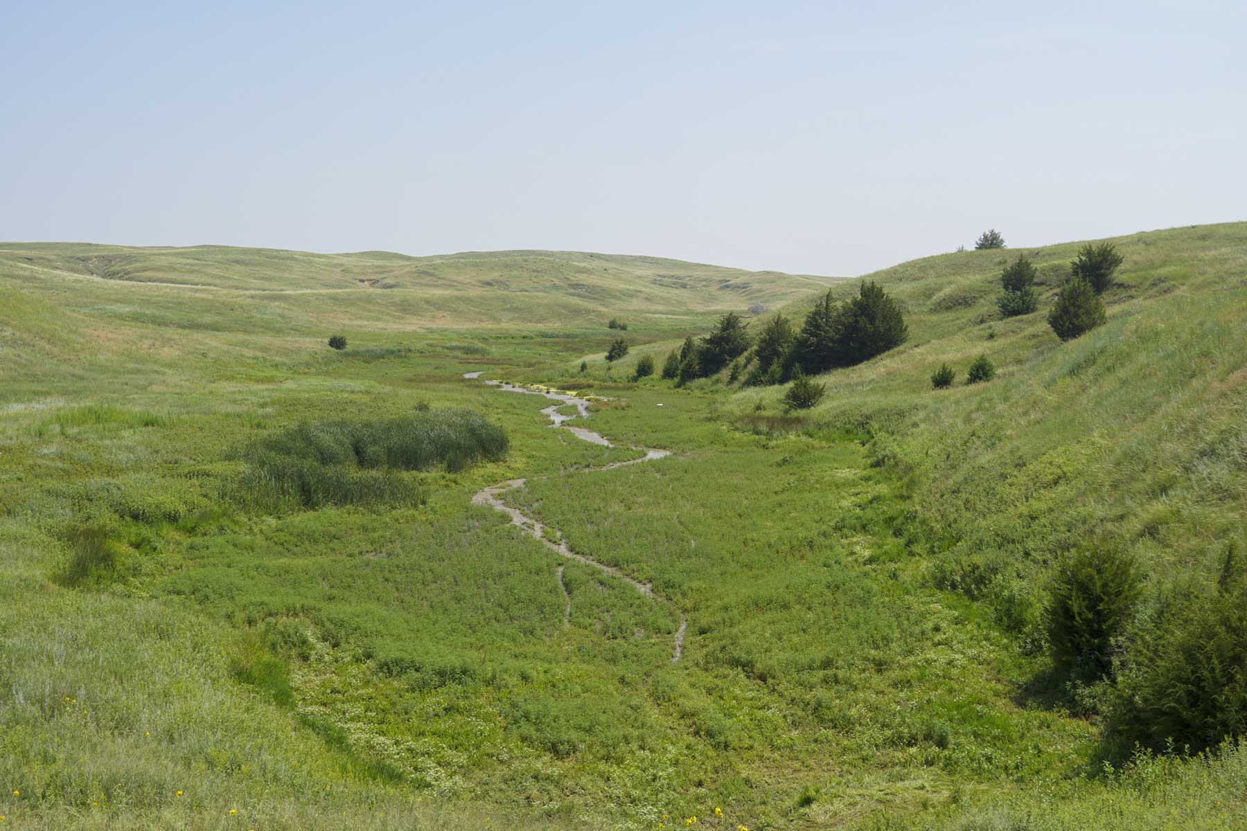 Otter Creek Ranch property picture 47 of 87