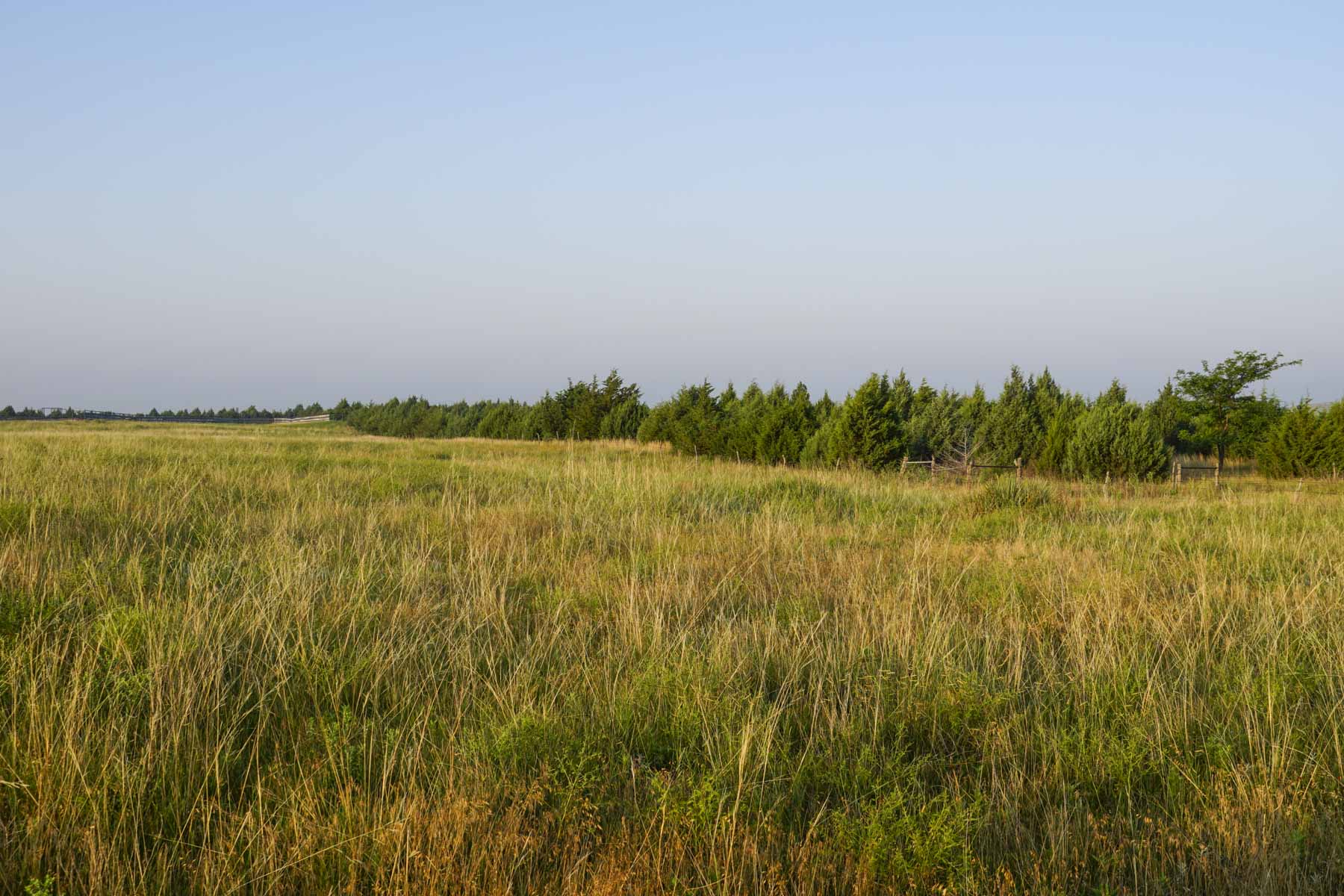 Otter Creek Ranch property picture 55 of 87