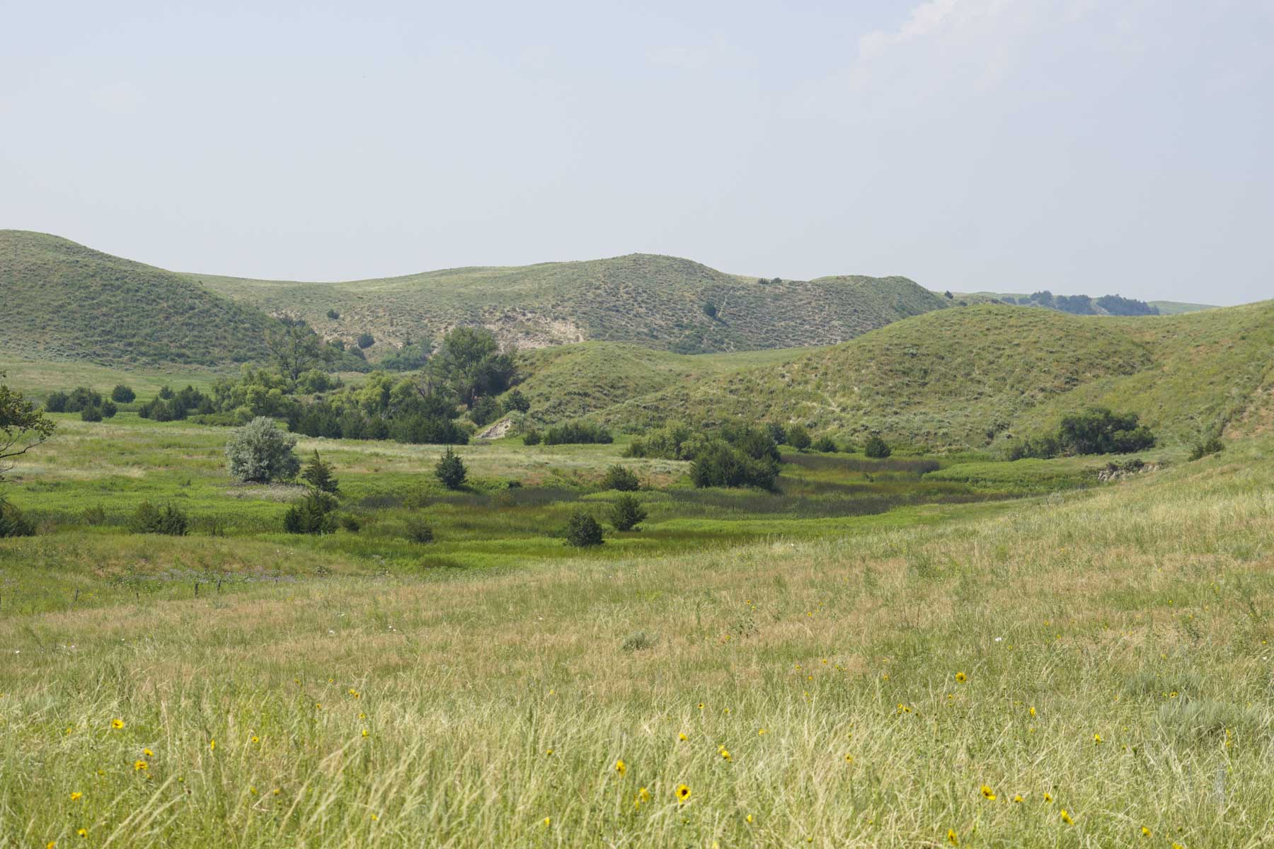 Otter Creek Ranch property picture 83 of 87
