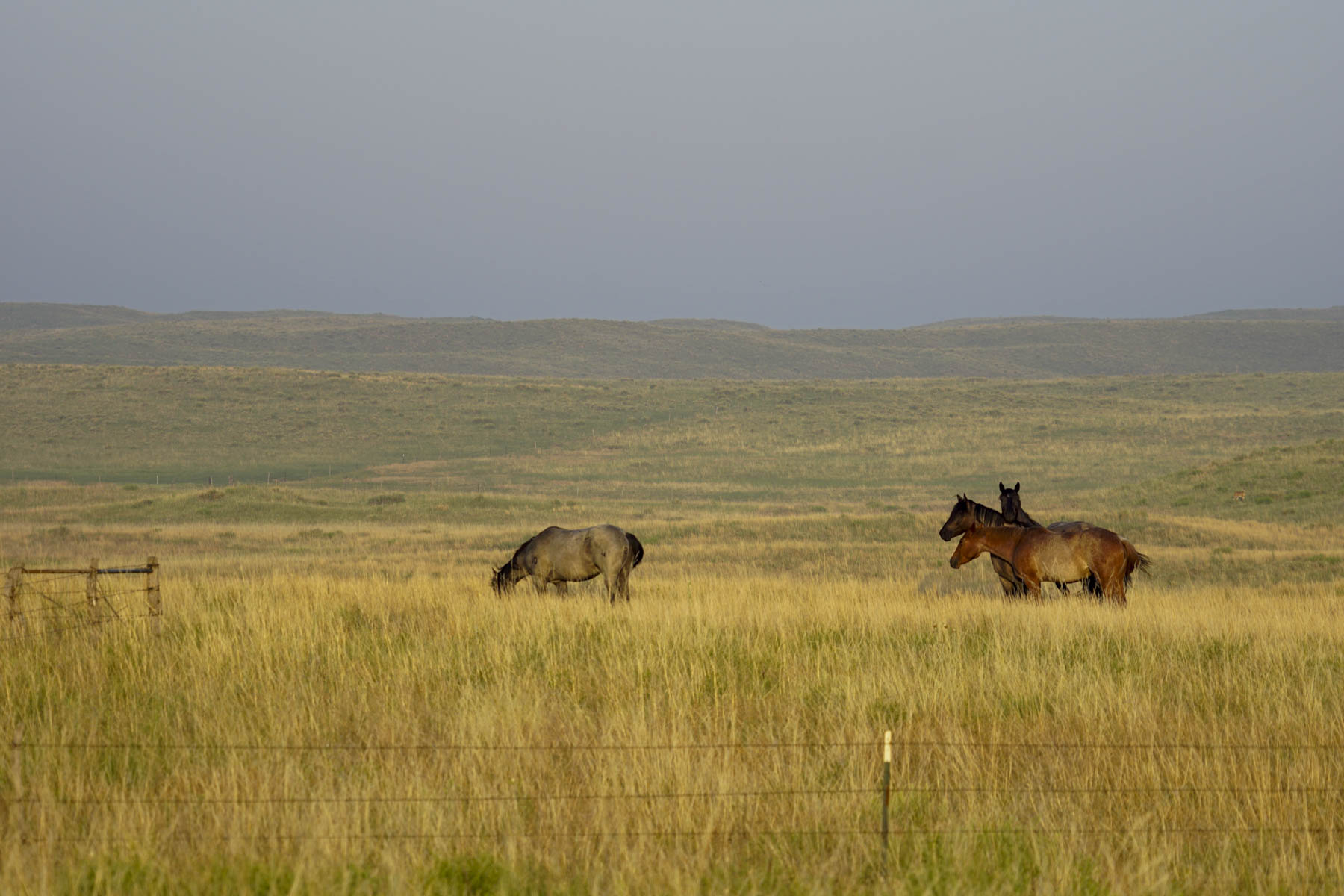 Otter Creek Ranch property picture 54 of 87