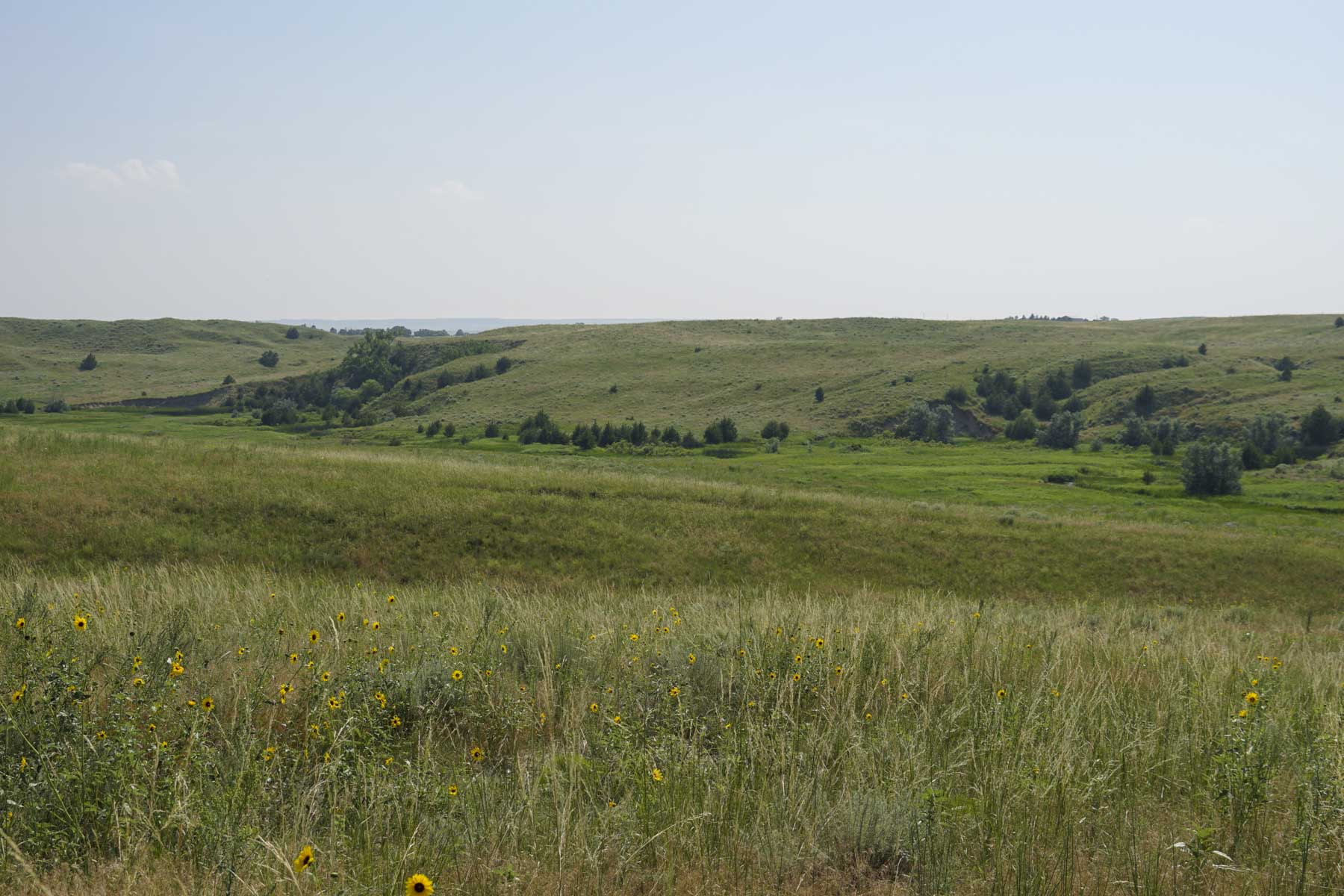 Otter Creek Ranch property picture 84 of 87