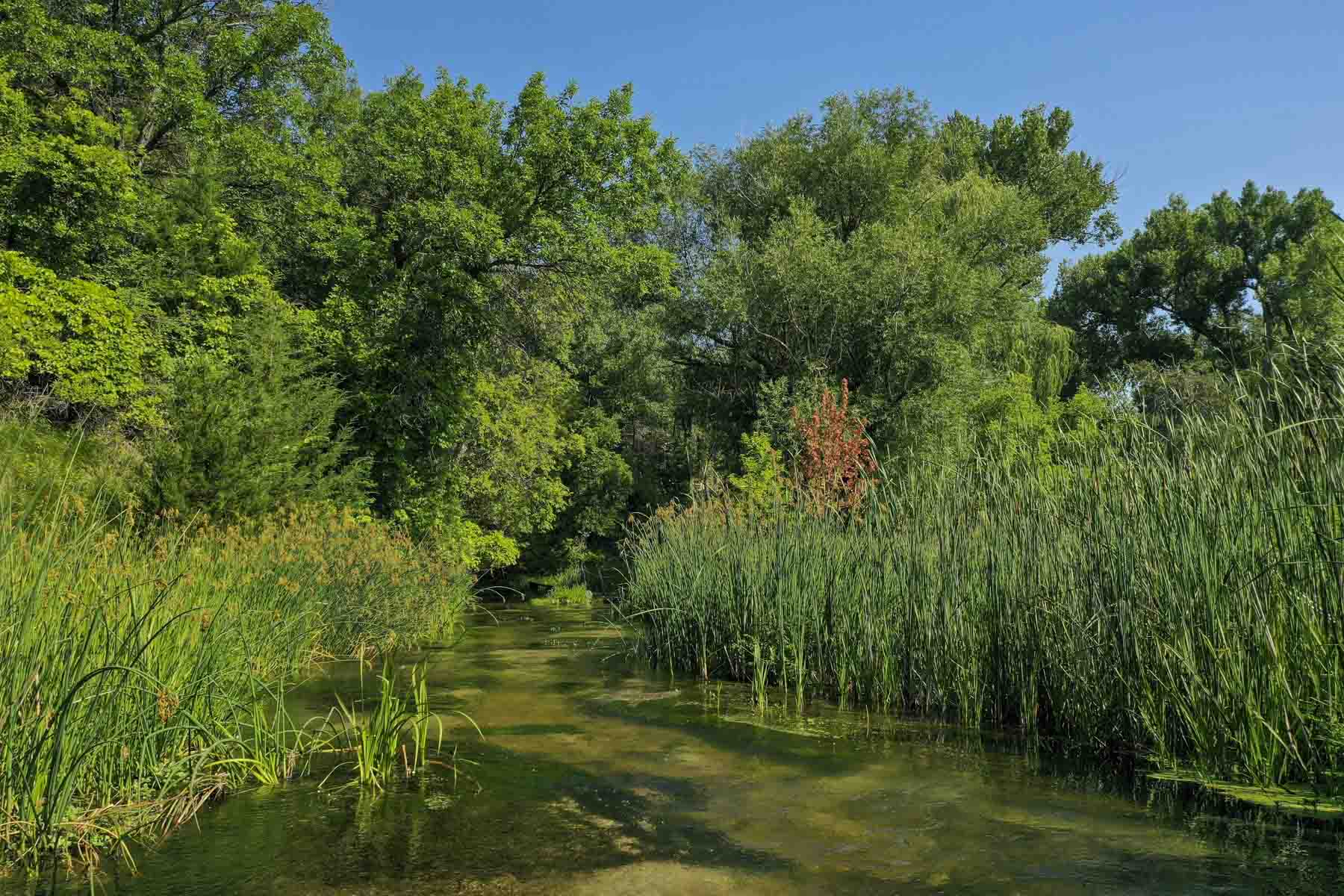 Otter Creek Ranch property picture 45 of 87