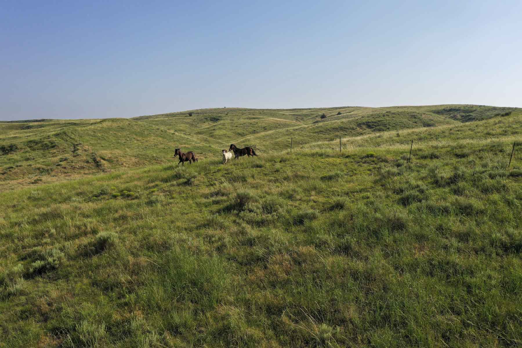 Otter Creek Ranch property picture 9 of 87