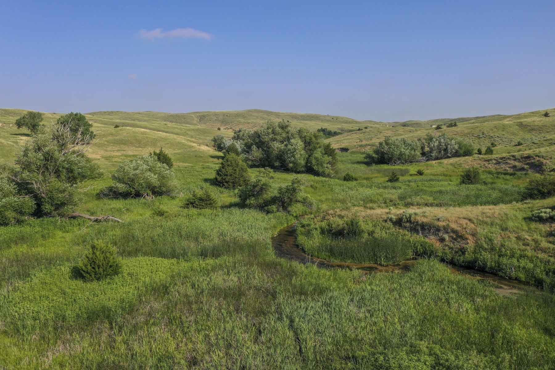 Otter Creek Ranch property picture 8 of 87