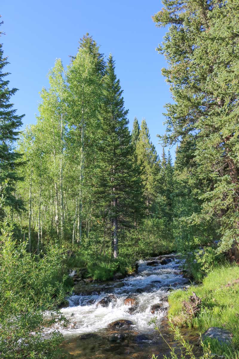 Triple Creek Ranch property picture 60 of 88