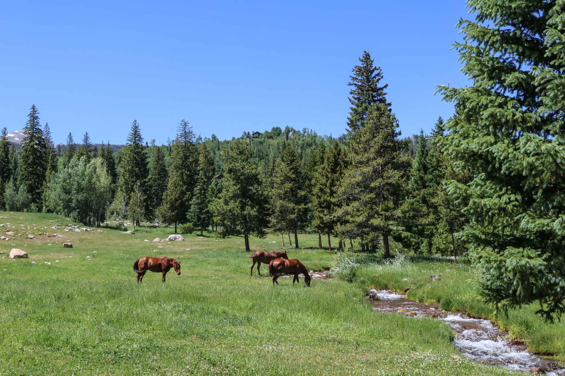 Triple Creek Ranch property picture 58 of 88