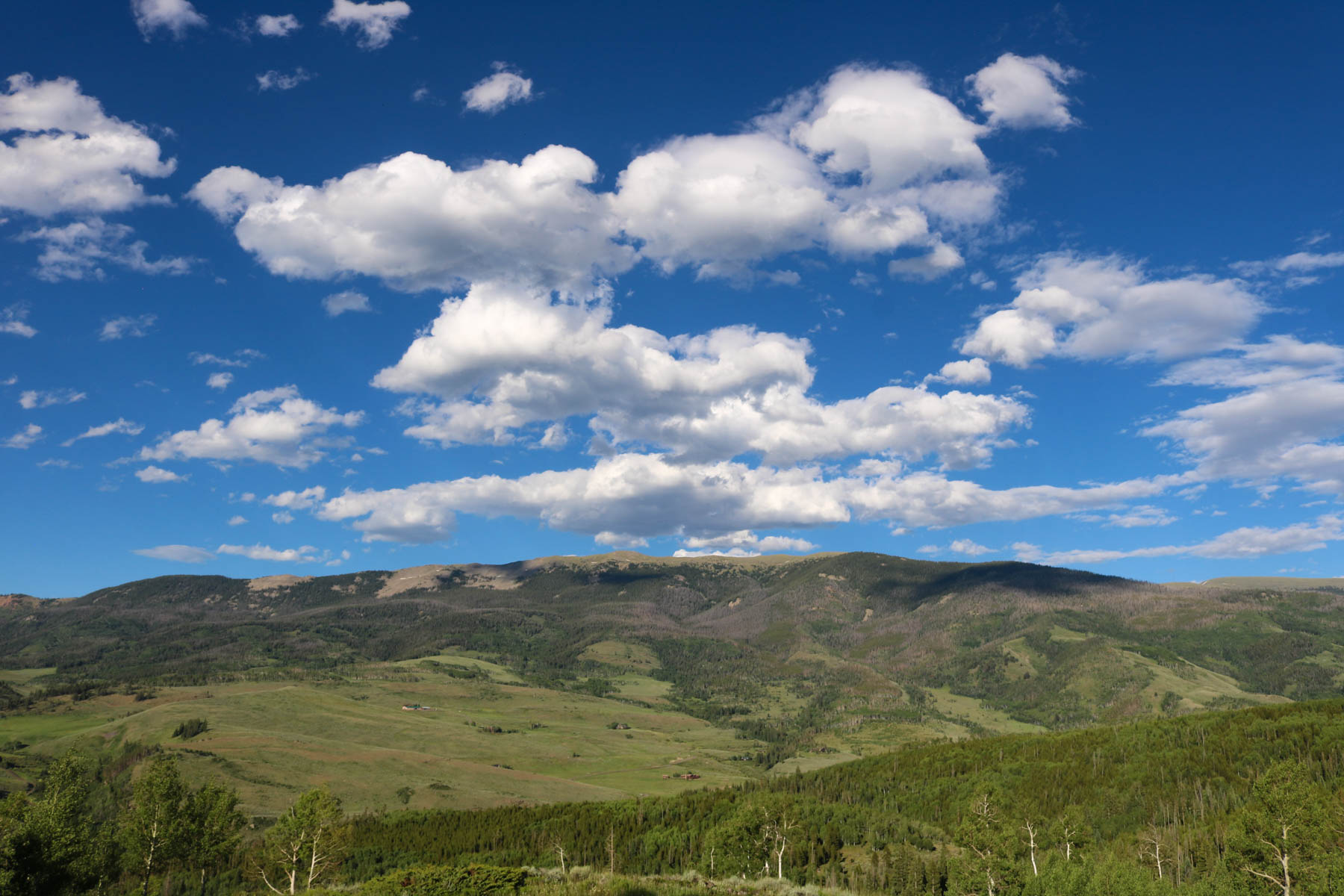 Triple Creek Ranch property picture 87 of 88