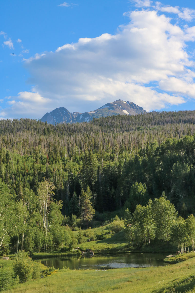 Triple Creek Ranch property picture 48 of 88