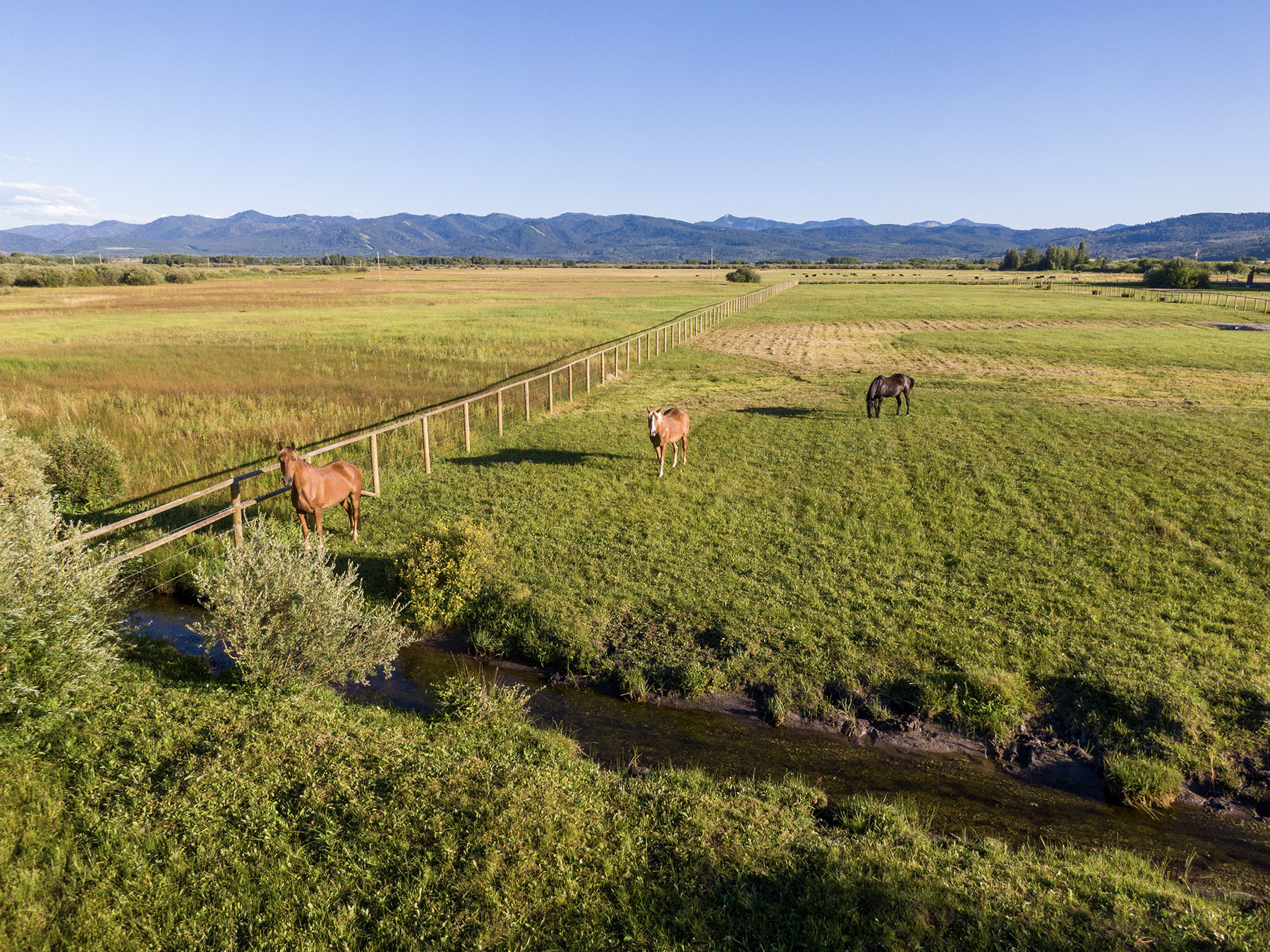 Willowbend Retreat on the Teton River property picture 4 of 64